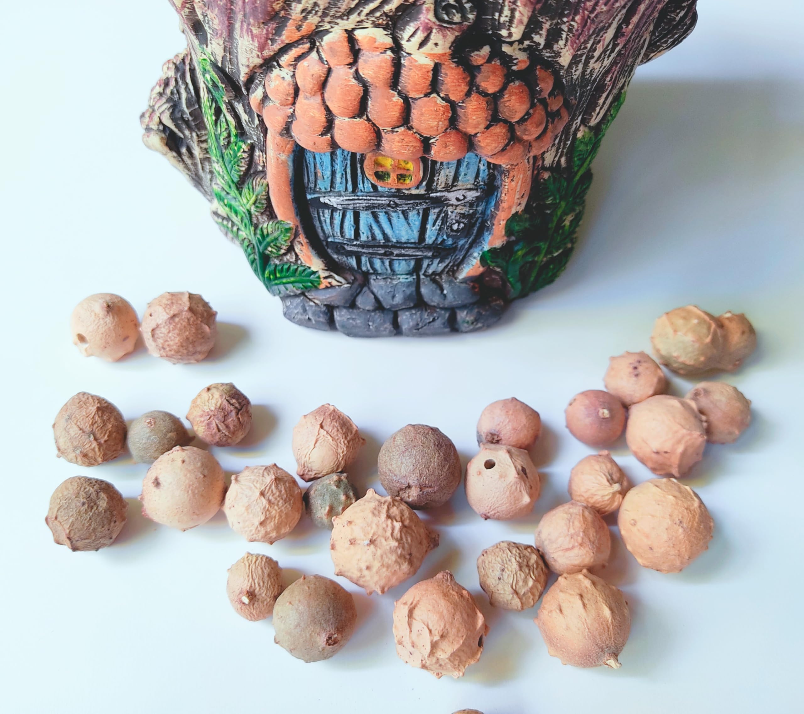 Ganze Eichengallen, GALL NUT, 500gr., Quercus infectoria, 100% natürlicher Farbstoff für Garne und Naturfasern.