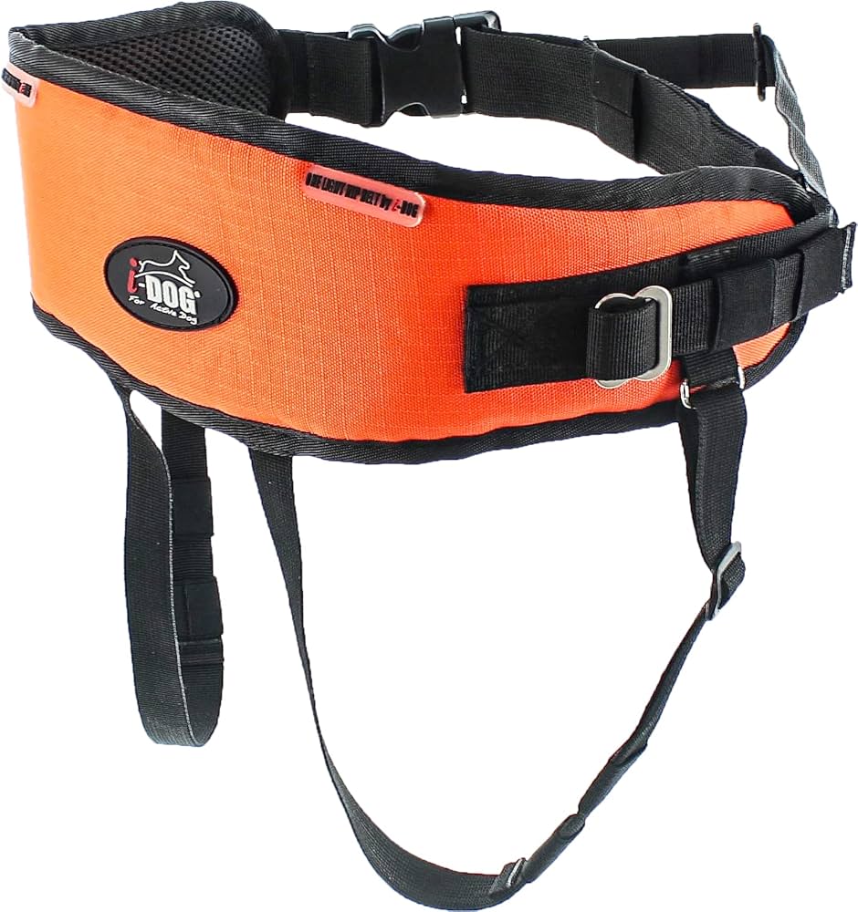 Baudrier Canicross I-dog CONFORT TREK - Taille Unique Rouge - Gourde Incluse - Pour Sport Avec Chien