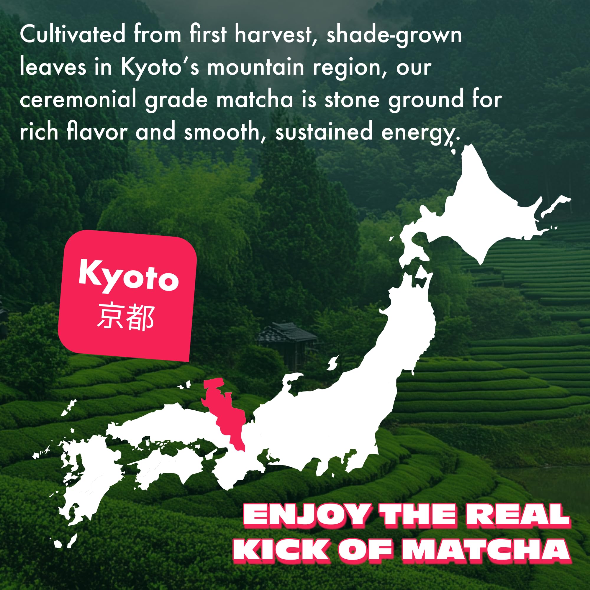 Apple Matcha Green Tea Powder From Japan - 1 06 oz 30 g - Ceremonial Grade Sugar Free — view 3