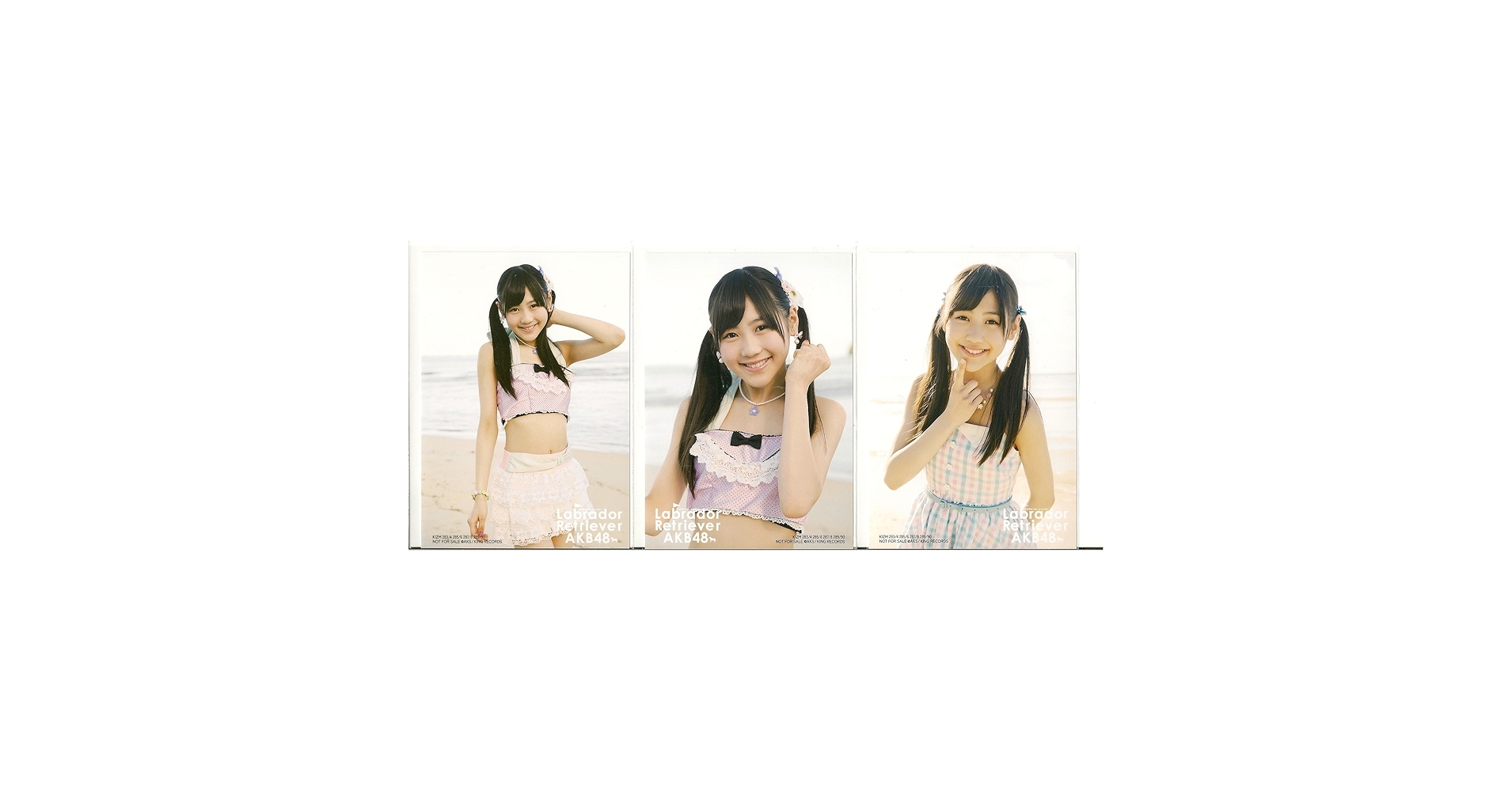 Amazon.co.jp: AKB48 公式生写真 ラブラドール・レトリバー 封入