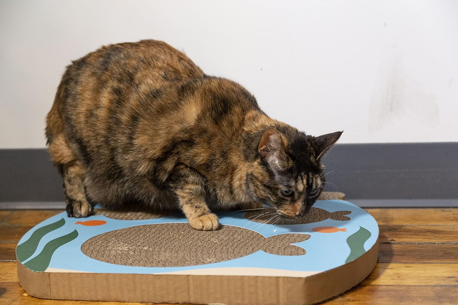 review Pearhead Interactive Cat Scratch Toy, Fishbowl Theme, 19