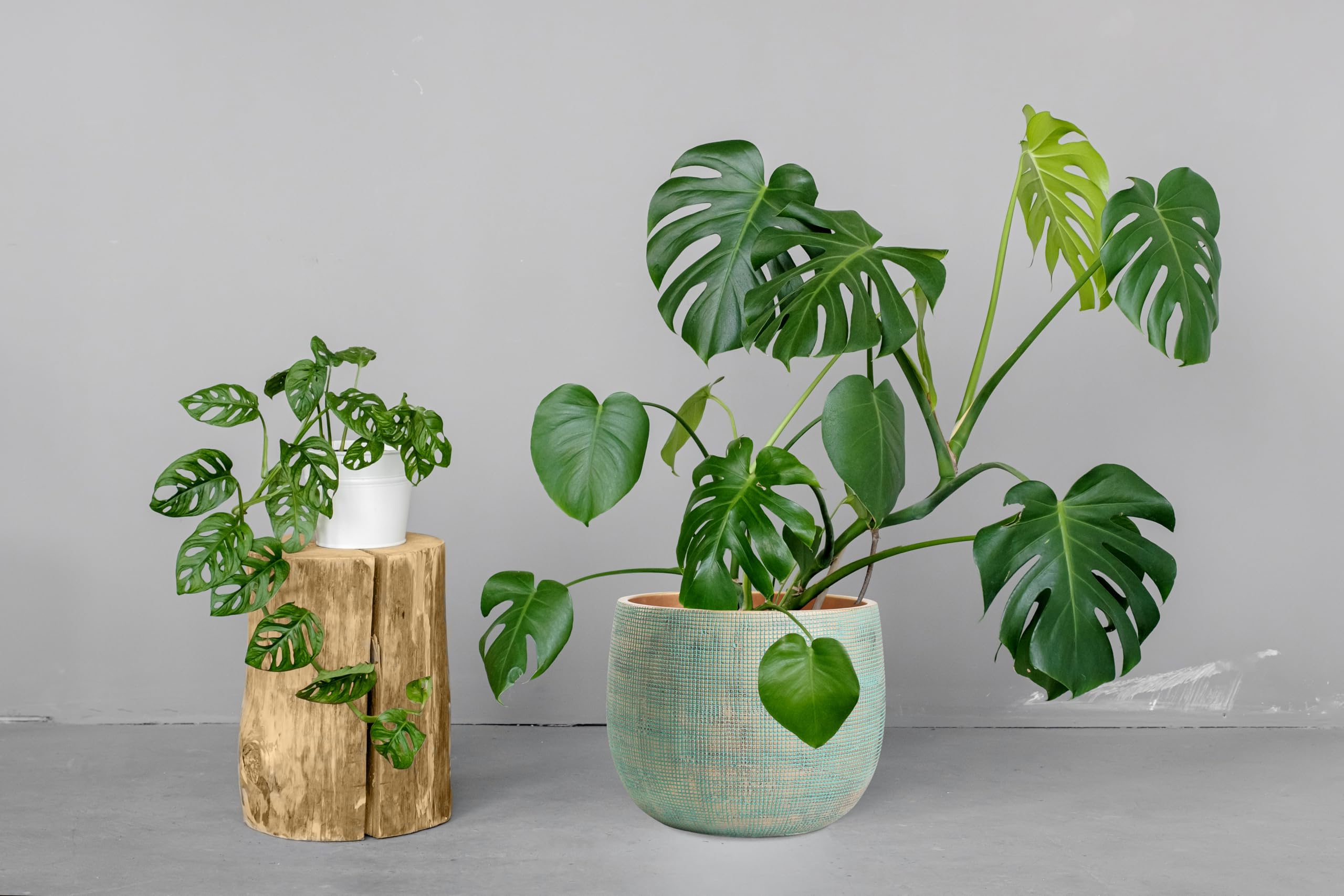 Olly & Rose Bali Pflanztopf aus Keramik, 25 cm