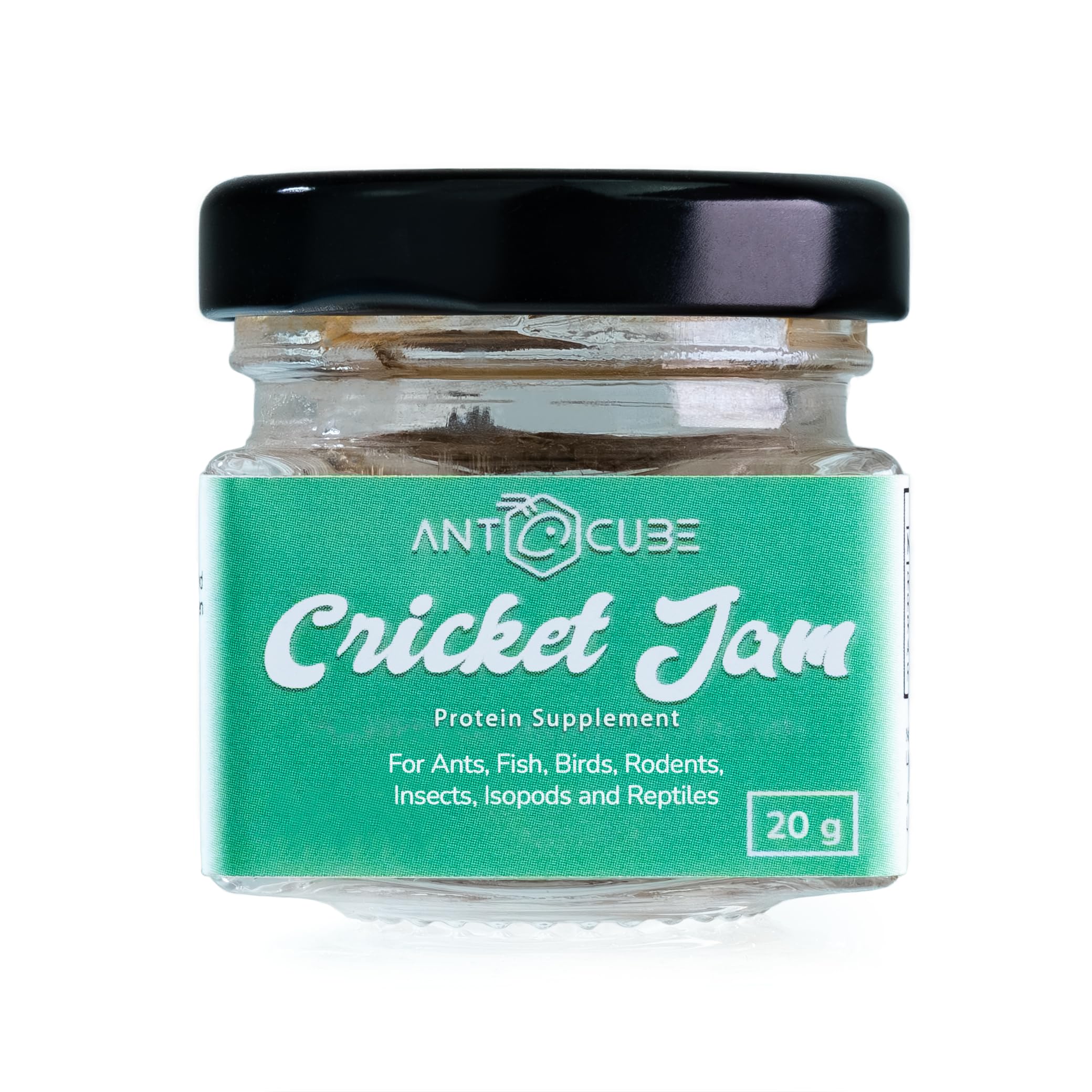Mashed Crickets