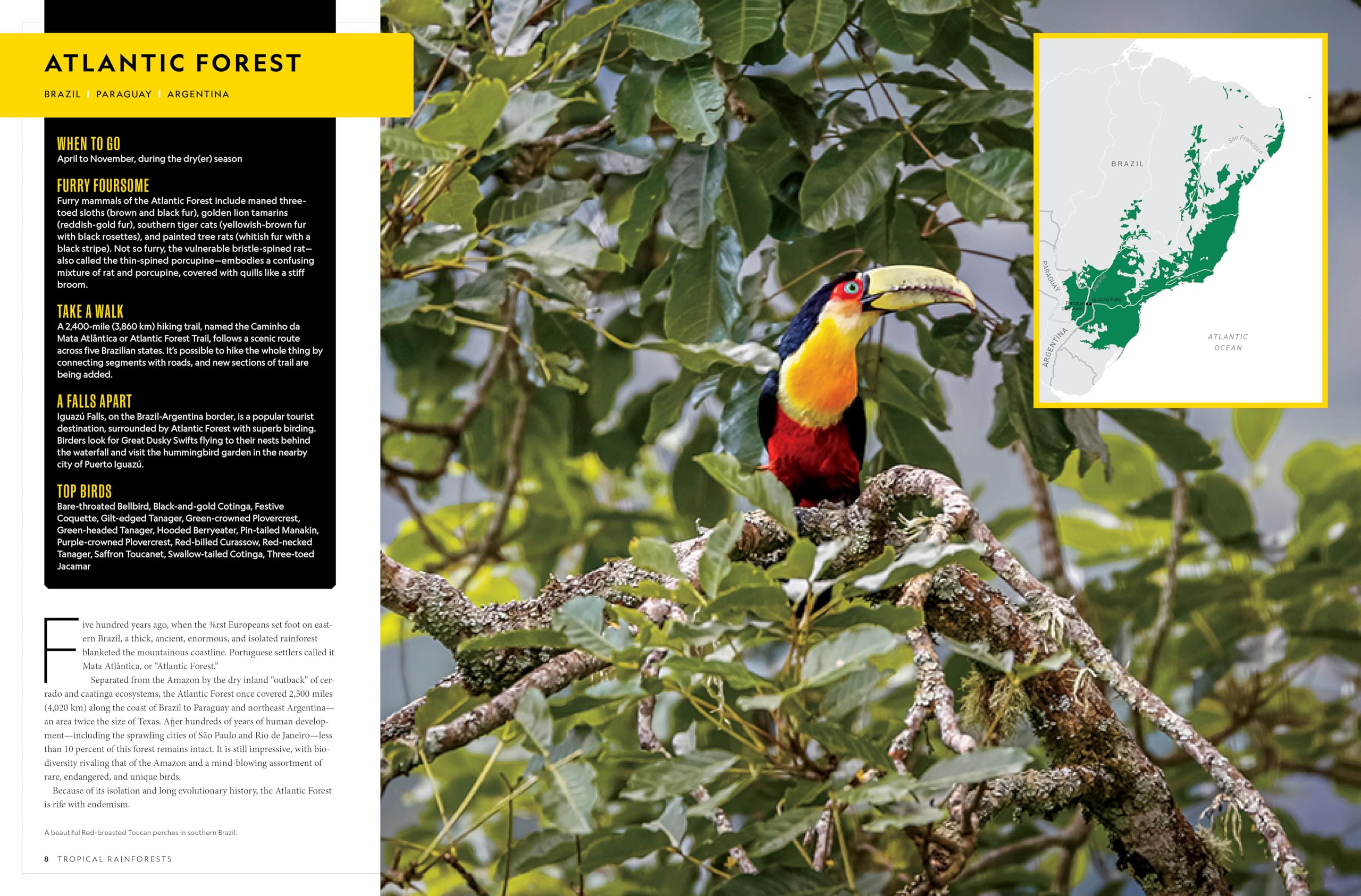 National Geographic Birder's Atlas of the World