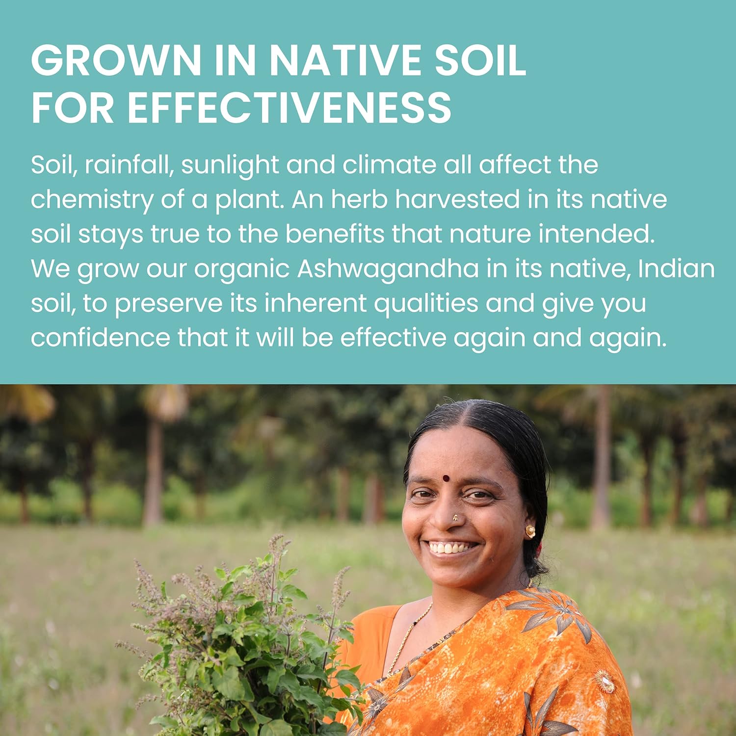 Himalaya Organic Ashwagandha, 4 Month Supply for Stress Relief, USDA Certified Organic, Non-GMO, Gluten-Free Supplement, 100% Ashwagandha powder & extract, 670 mg, 60 Caplets, 2 pack : Health & Household