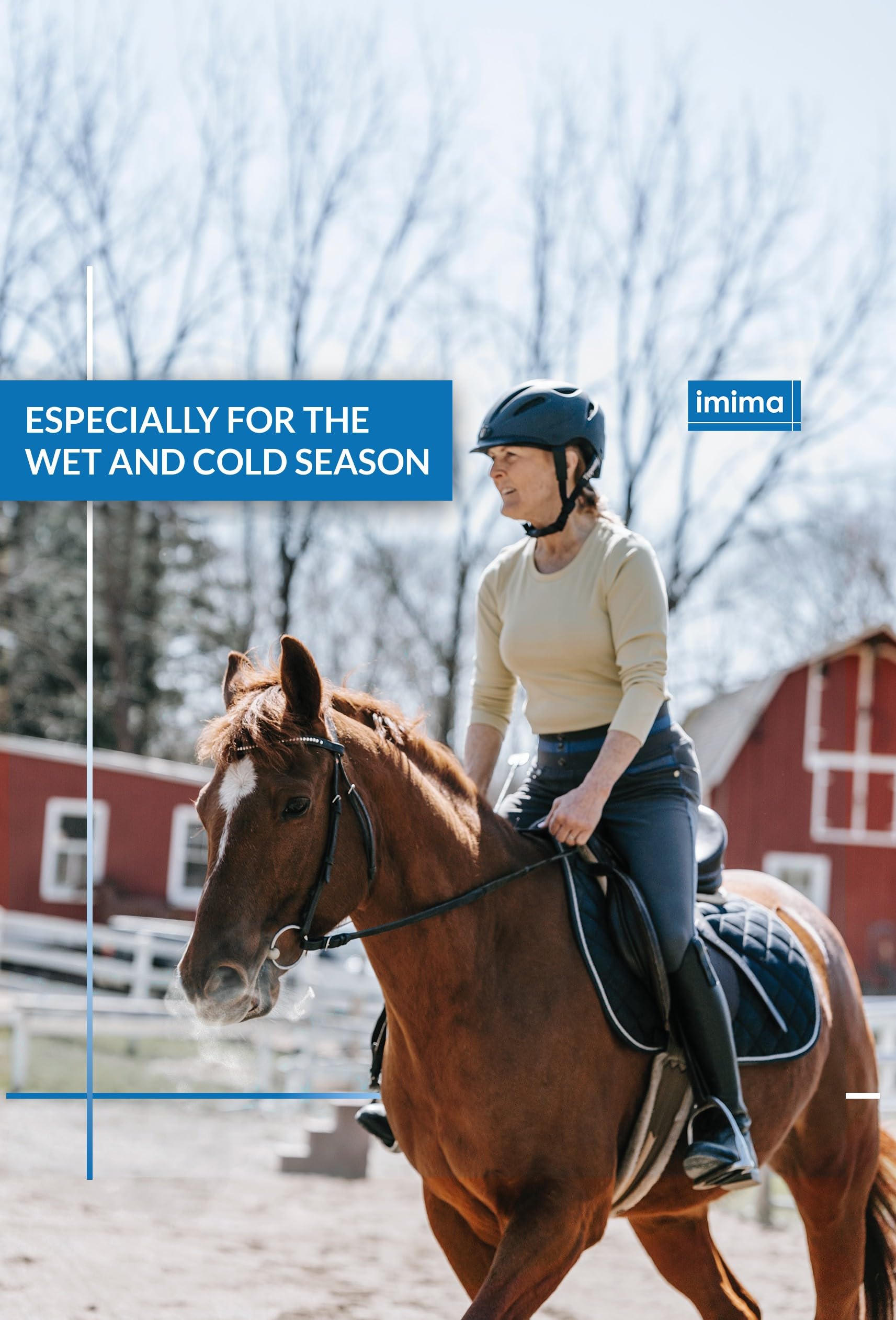 Mineral Lick Horse MultiVitamin BRONCHIAL Salt Lick Set 4 x 3kg - Pietre per leccare il sale per cavalli, pecore, capre, selvaggina e bovini - pietra minerale per leccare il sale
