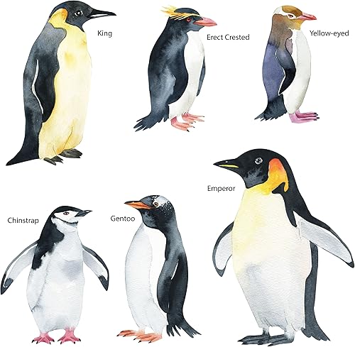 Miniatura 3 de Calcomanías de pingüino de tamaño real, juego de 6 calcomanías de pared realistas de pingüinos