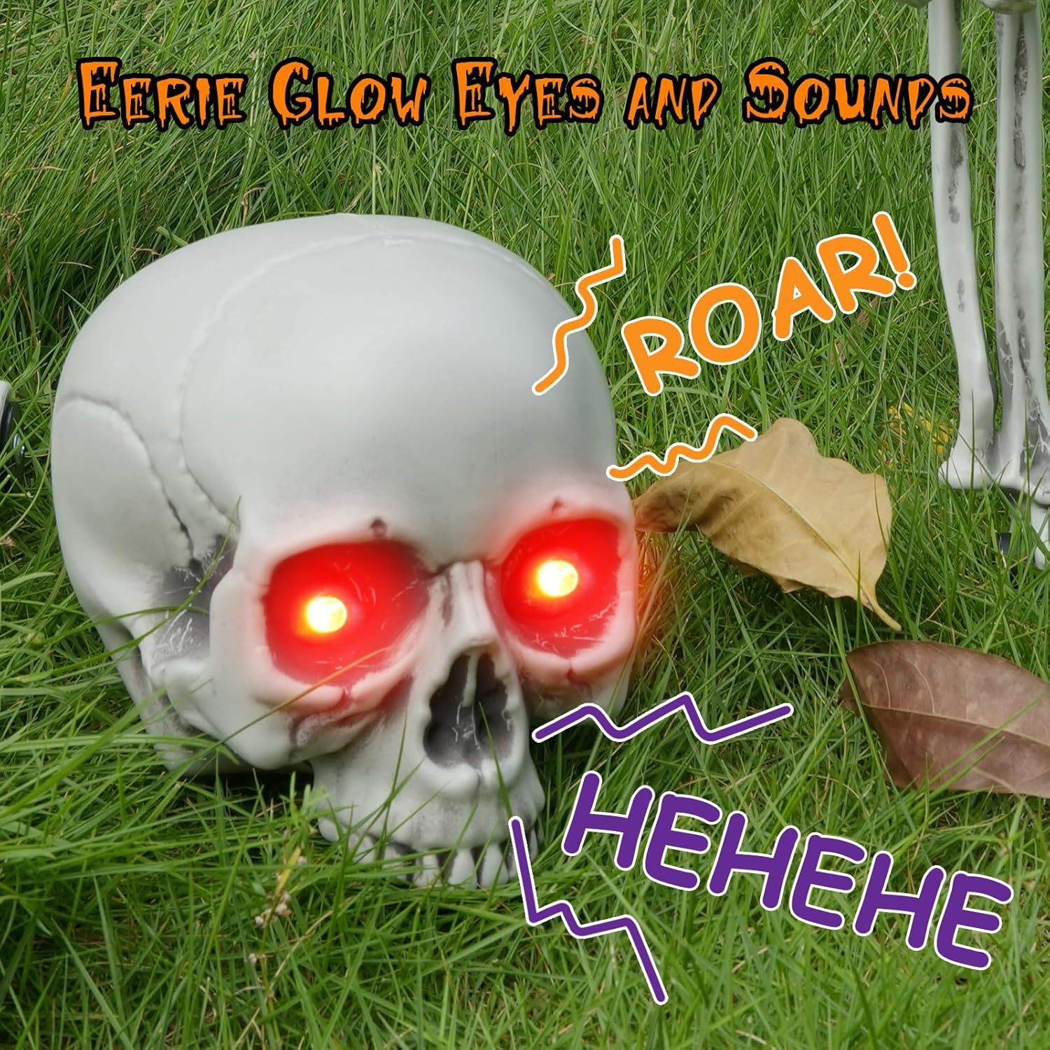 https://m.media-amazon.com/images/I/81GKsdF-rcL._AC_SL1500_.jpg