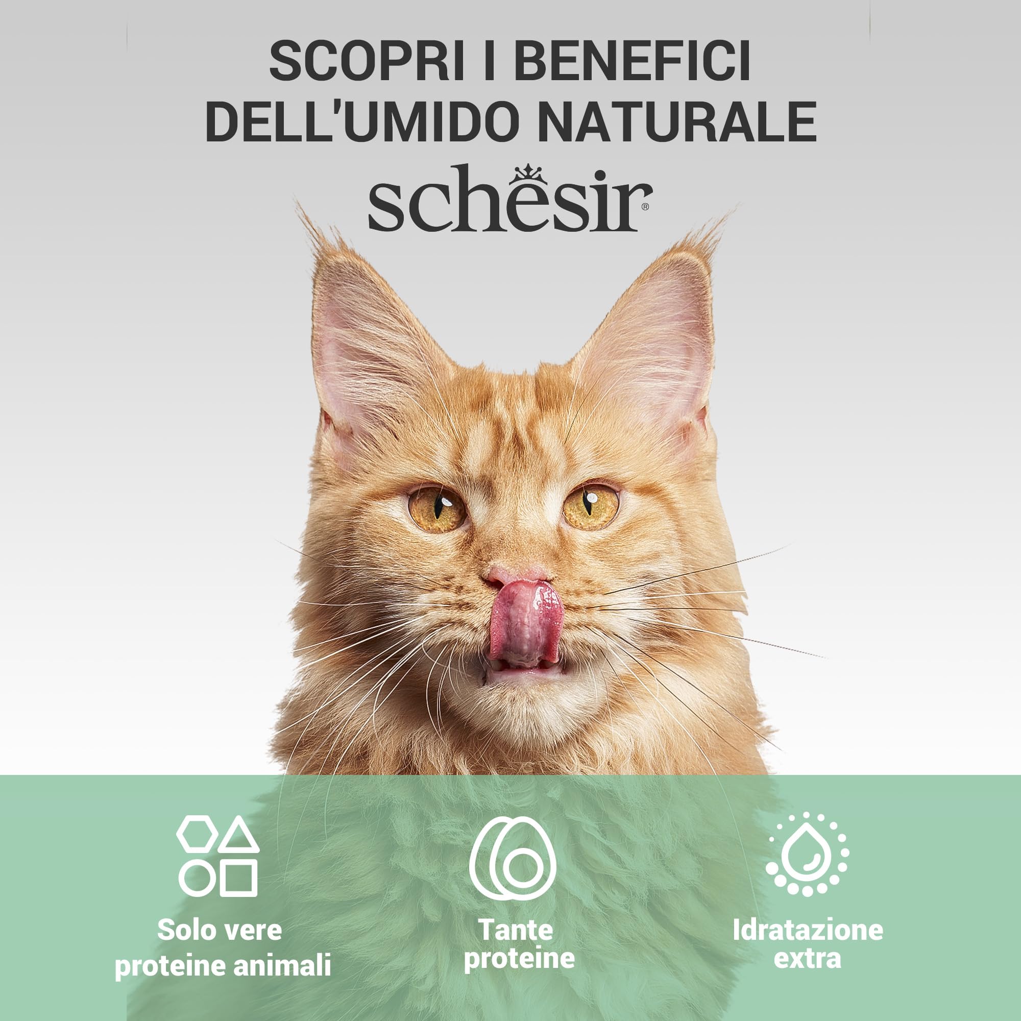 Schesir, Zuppa con Filetti di Tonno e Calamari, in busta, Cibo Umido Complementare per Gatti, Ricetta Originale, 100% Naturale, Cruelty Free, 12 x 40g