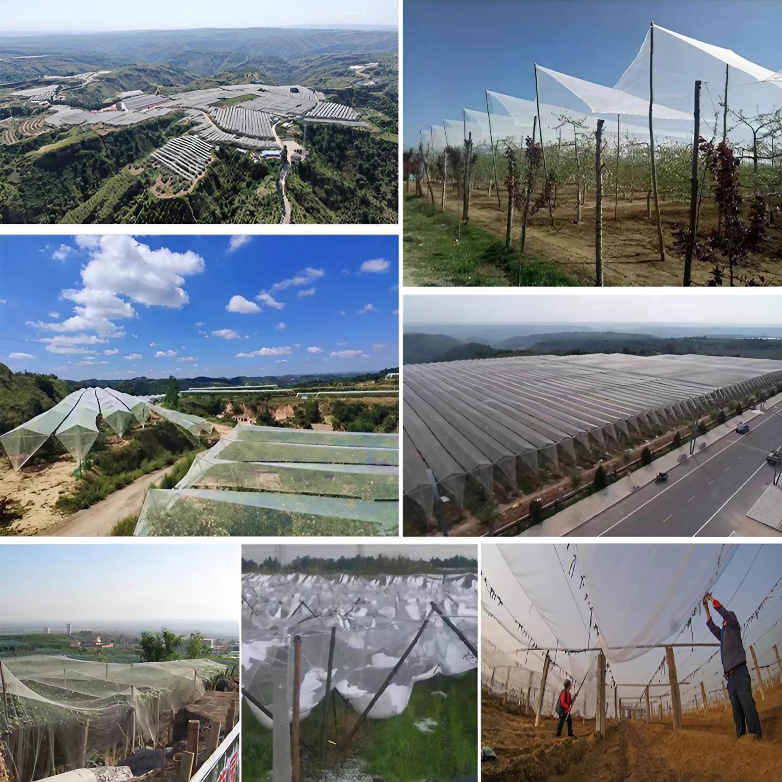 Rete Antigrandine Alta Portata Fili Rinforzati, Resistente allo Strappo Raggi UV Telo Antigrandine, Maglia da 5 mm Rete Anti Uccelli per Frutta e Verdura, Giardini, Piante, Anti-Uccelli(1 x 50m)