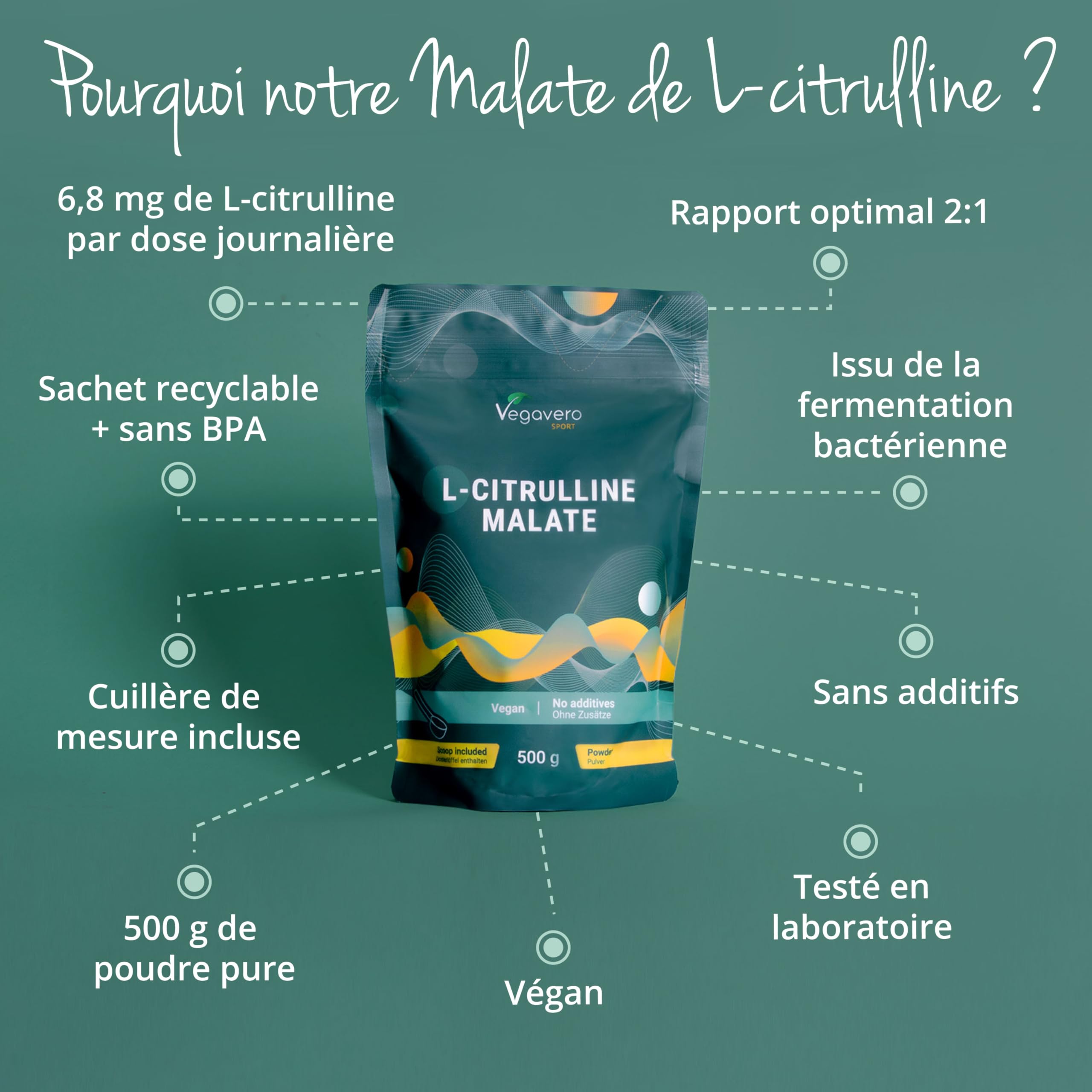 L-Citrulline Malate 2:1 | 500g Poudre | 100% Pure & Sans Additif | Pre Workout Vegan & Endurance | Vegavero®