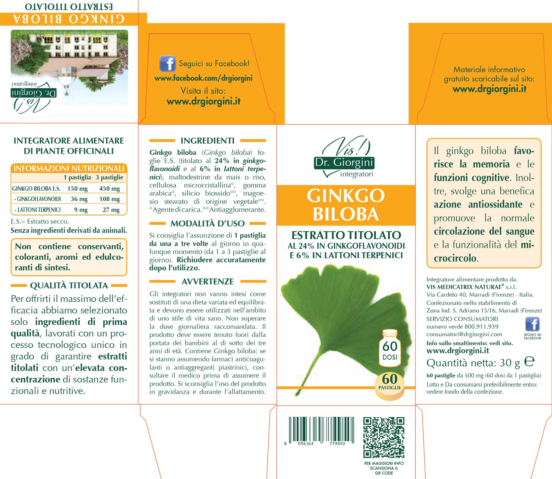 Dr Giorgini Integratore Alimentare, Monocomponenti Erbe Ginkgo Biloba Estratto Titolato al 24% in Ginkgoflavonoidi e 6% in Lattoni Terpenici Pastiglie - 30 g