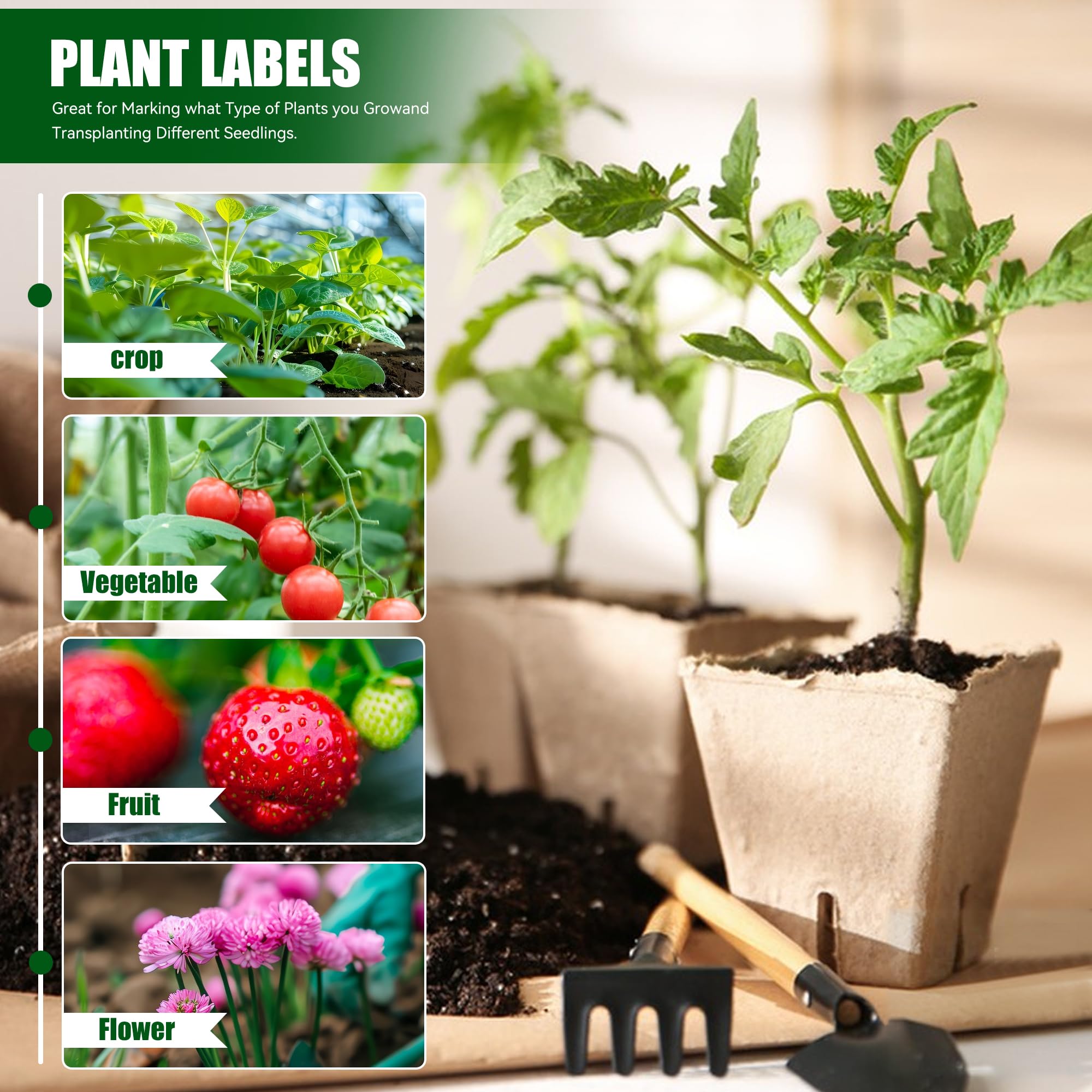Pots Biodégradables,100 Pièces 8 CM Pot de Semis de Plante,avec 100 étiquettes de Plantes +2Pcs Outils de Repiquage,Peti Pots pour Plantation Graine Fleurs
