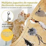 Ver la foto 3