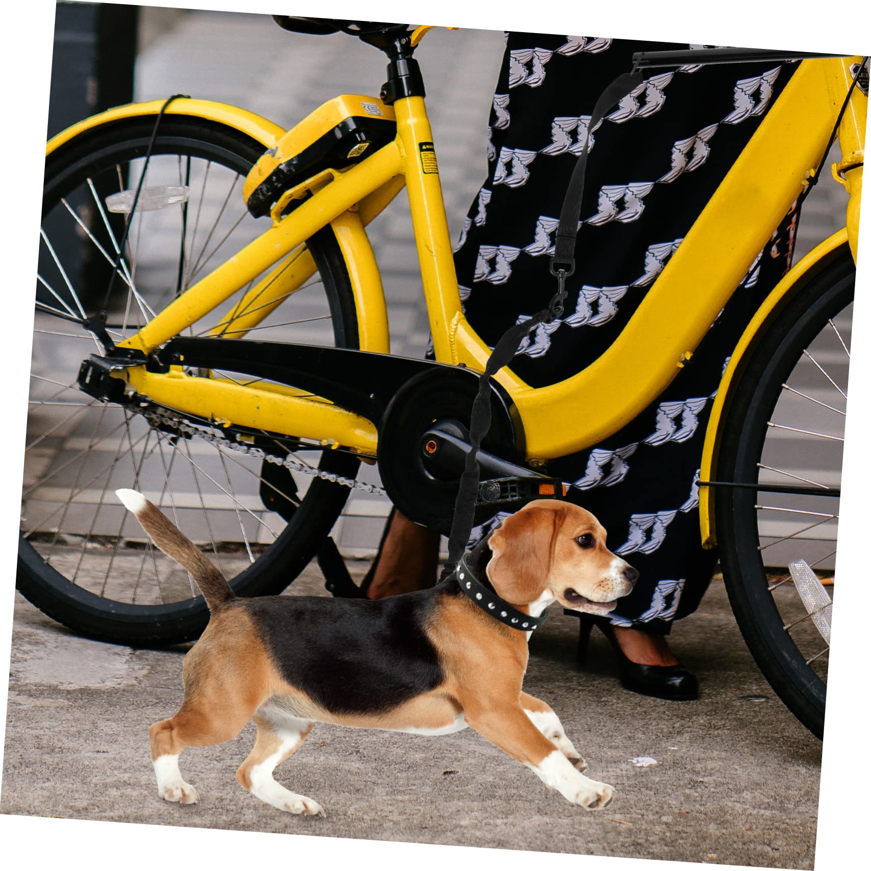 Beavorty Guinzaglio Per Cani in Corda Di Trazione Accessori Per Animali Domestici Per Passeggiate e Attività All Aperto