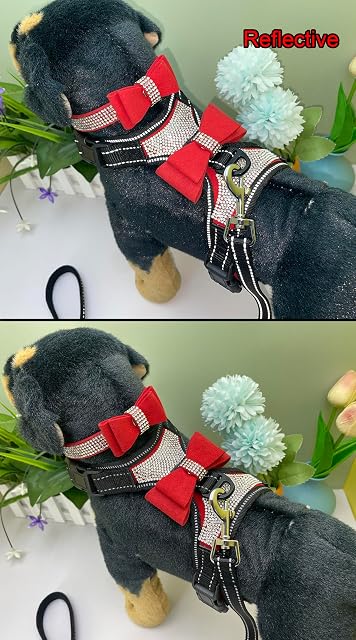 Foto 4 de 6 de Newtensina 3 Piezas Pajaritas Bling Lindo Perro arnes y Perro Collar con Correa para Perro - Rojo - M