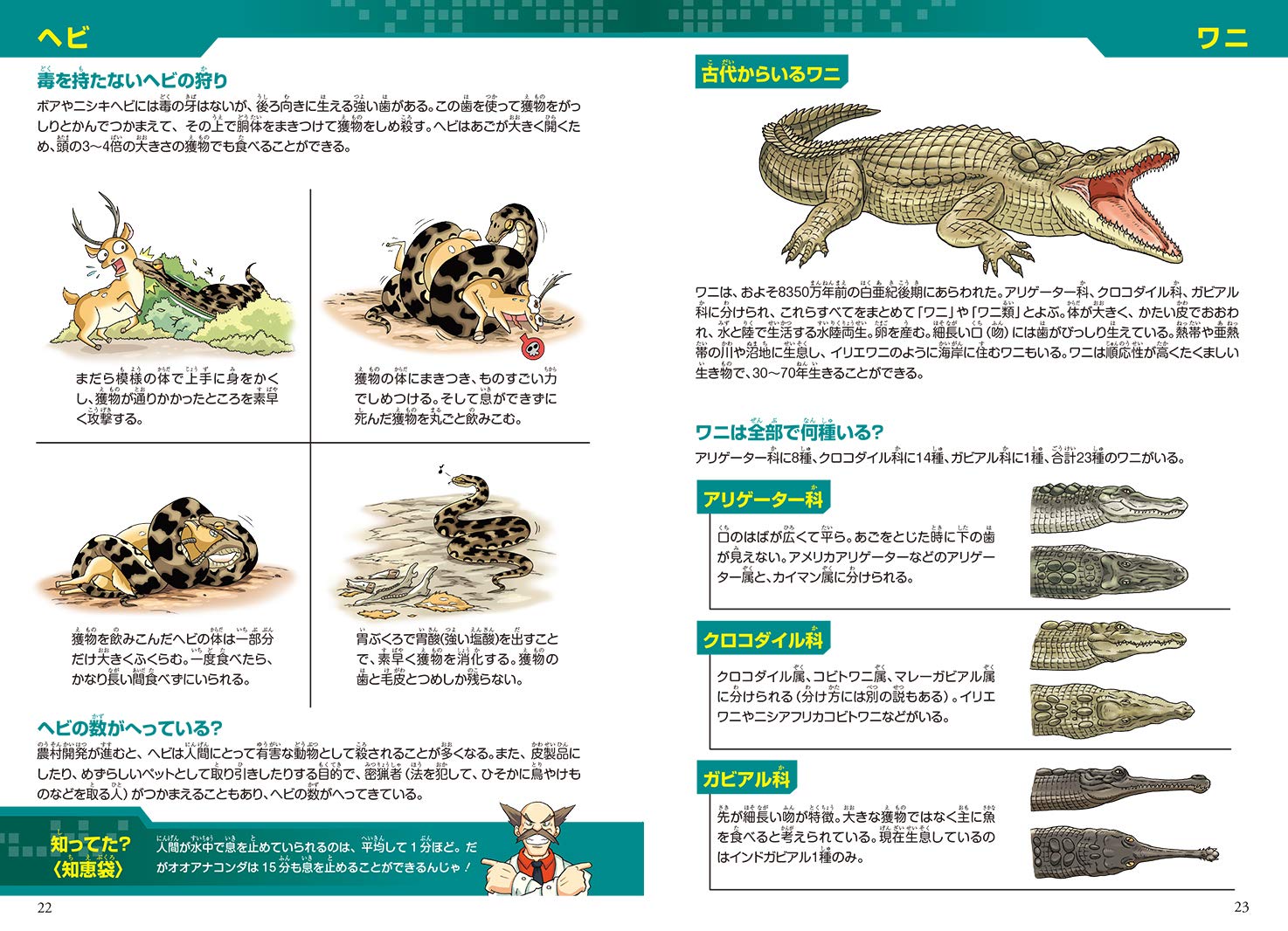 どっちが強い ヘビvsワニ 丸のみ動物の決闘 角川まんが科学シリーズ スライウム サンドラ ブラックインクチーム ブラックインクチーム 白輪 剛史 本 通販 Amazon