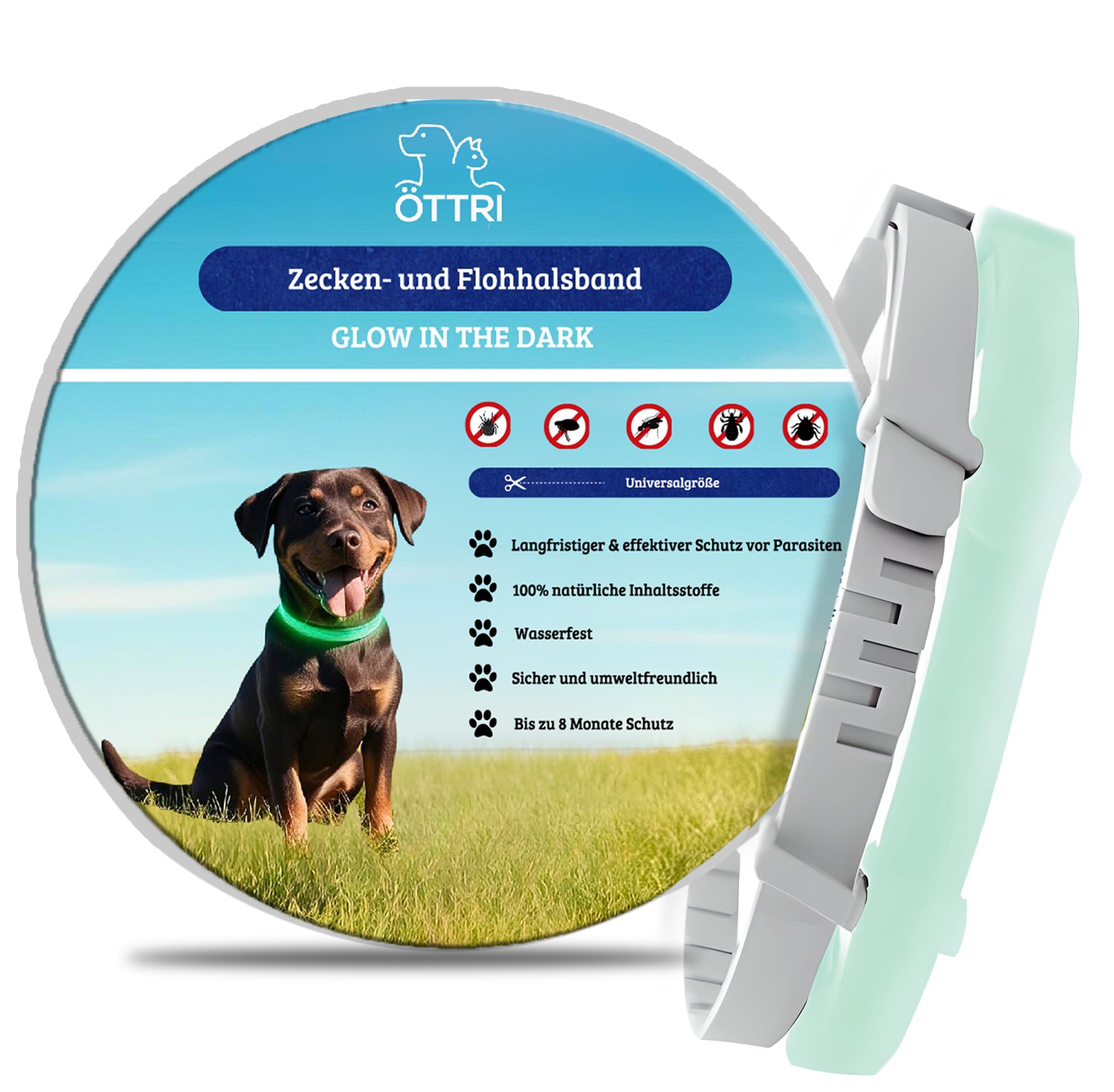 Zeckenhalsband für Hunde und Katzen | Leuchtendes Präventionshalsband gegen Parasiten mit bis zu 8-Monatigen Schutz | Fluoreszierendes Halsband universell auf Jede Größe verstellbar