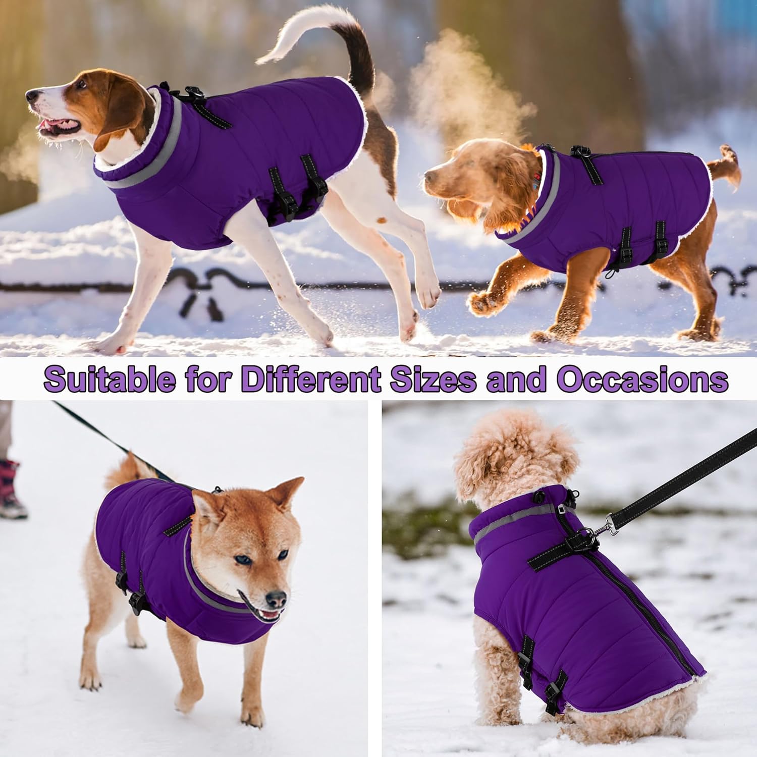 Dogcheer Dog Coat with Harness, Waterproof Dog Jacket Adjustable Pet Winter Coat with Zipper, Christmas Puppy Snow Jacket Fleece Sweater for Small Medium Large Dogs - Purple XS - Image 7