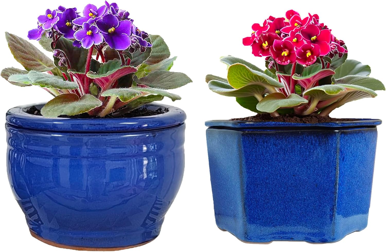 Blue African Violet Pots Round and Hexagon