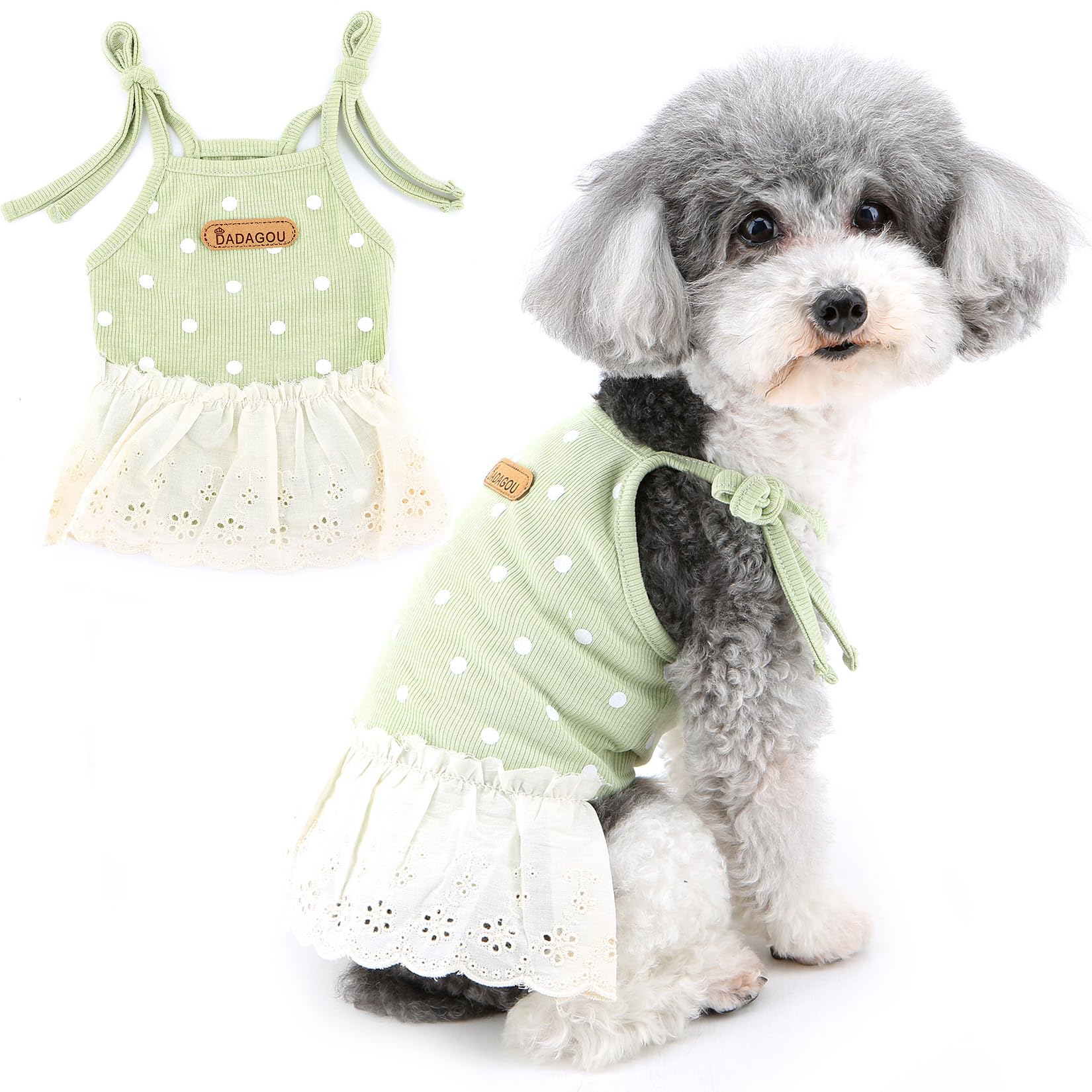 Amazon.com : Zunea Polka Dot Dog Dresses for Small Dogs Girl Camisole  Summer Princess Dress Puppy Clothes Cute Doggie Skirt Soft Sundress Female  Pet Cat Shih Tzu Pomeranian Chihuahua Yorkie Apparel Green