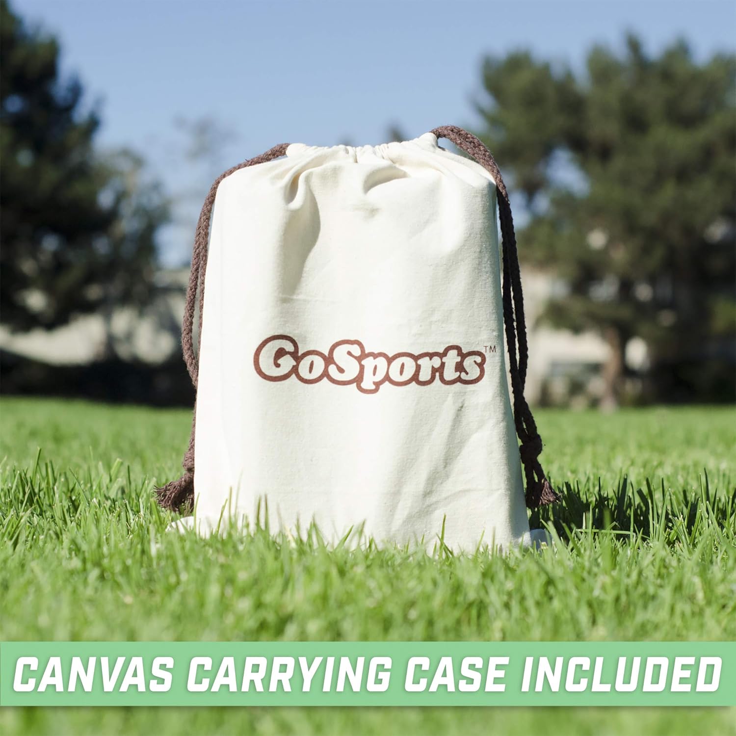 GoSports Giant 3.5 Inch Wooden Playing Dice Set with Bonus Rollzee Scoreboard (Includes 6 Dice, Dry-Erase Scoreboard and Canvas Carrying Bag) : Toys & Games