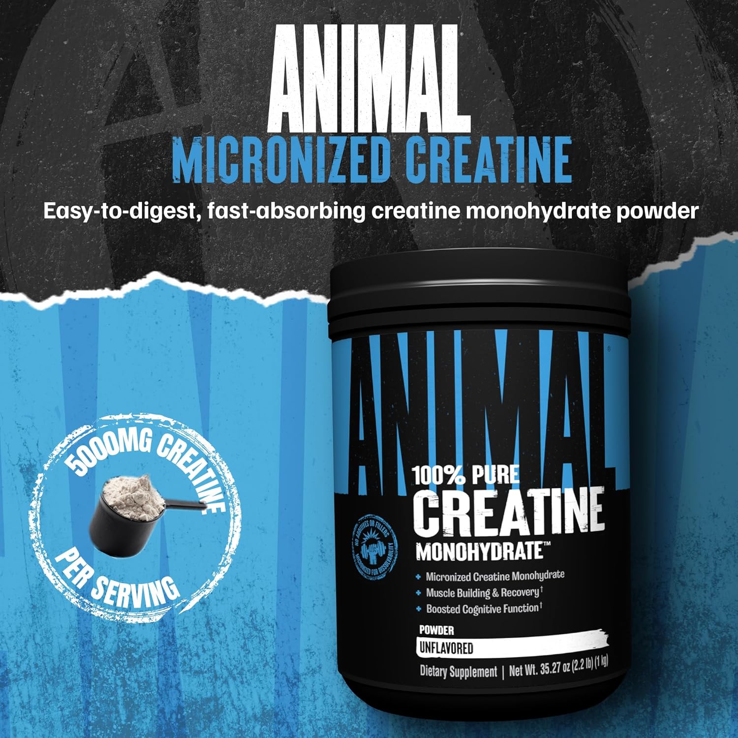 Animal Creatine Monohydrate Powder - Micronized Creatine for Women and Men, Supports Muscle Growth, Strength, Endurance, Recovery and ATP Production, Gym & Workout Supplements - Unflavored, 1kg - Image 2