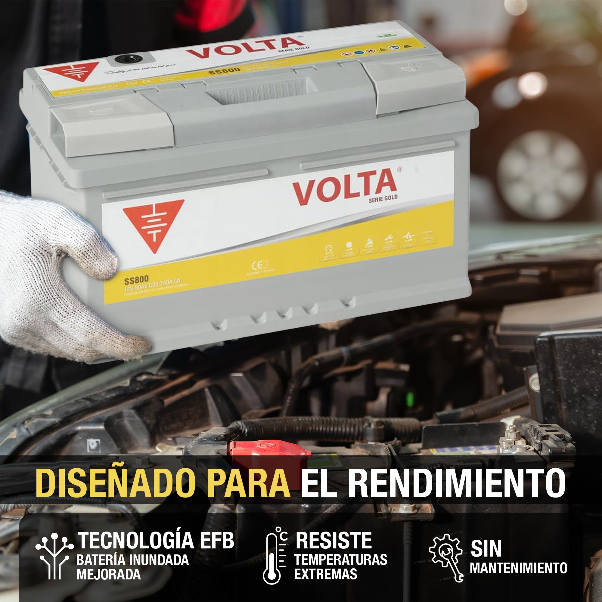 Bateria de Coche Gold 80Ah 740A Volta SS800D - Start Stop - Borne +Dcha - Medidas Largo 315 x Ancho 175 x Alto 175 mm con 2 años de Garantía - Fabricación Europea.