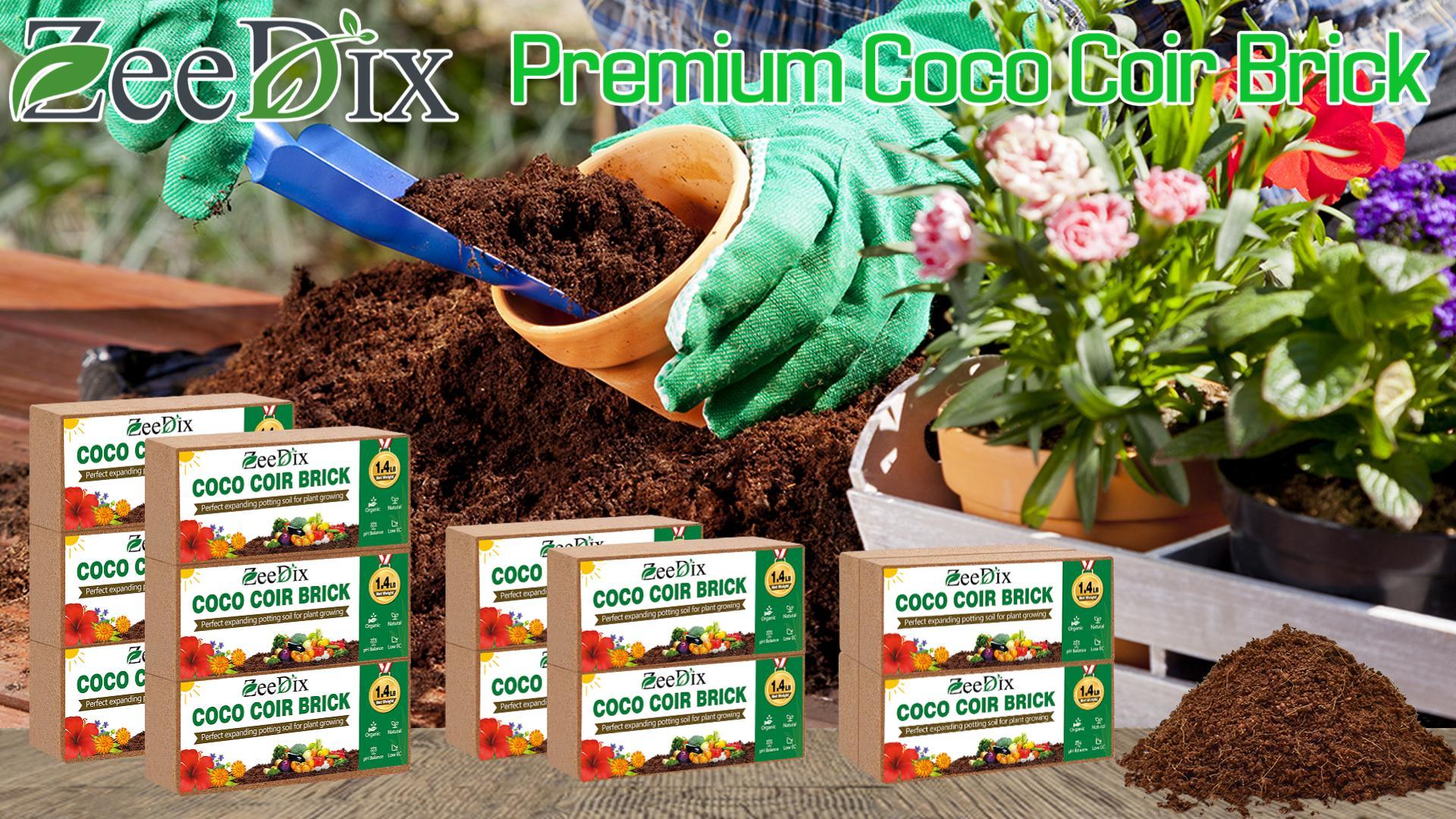 ZeeDix 12 Mattoni Di Cocco Compresso – 100% Biologico – Per Piante, Giardinaggio, Semina - 2