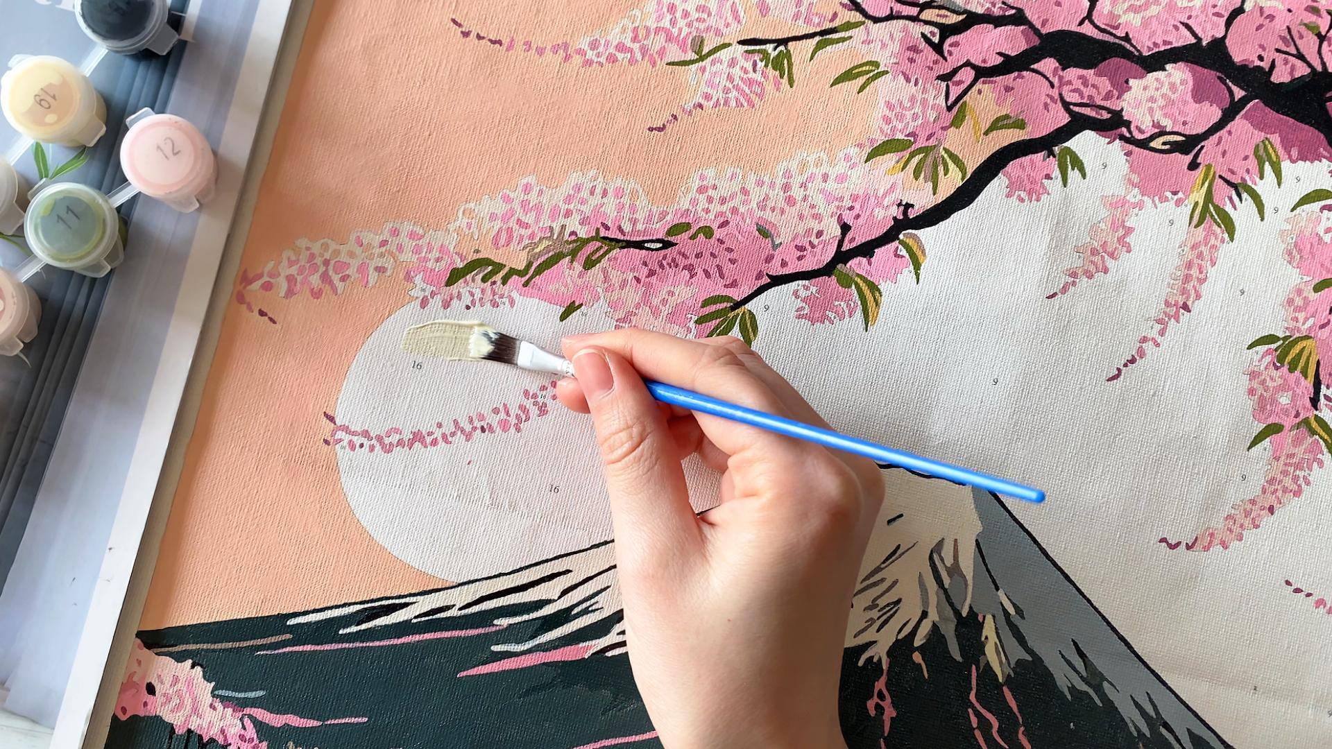 Amazon.com: SDYJQ Mount Fuji Paint by Numbers Kit for Adults