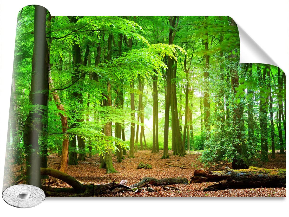 Papier Peint Premium Forêt de Printemps 312x219cm Décoration Murale Tulup Luxe