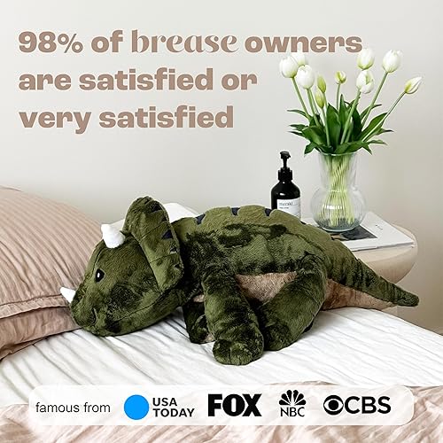 Miniatura 3 de Brease Animal de peluche con peso, dinosaurio verde de 25 pulgadas, 5 libras, felpa pesada