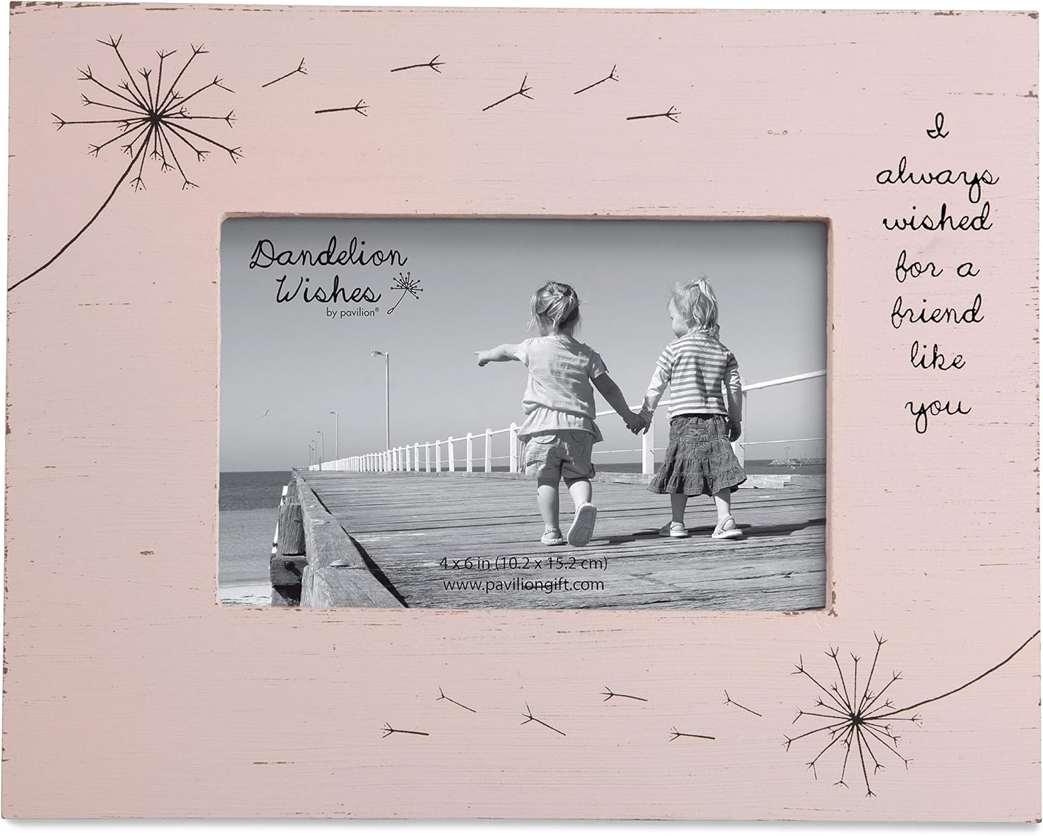 Dandelion Wishes 77152 Picture Frame Friend Like You Pink Rustic 4x6 Picture Frame