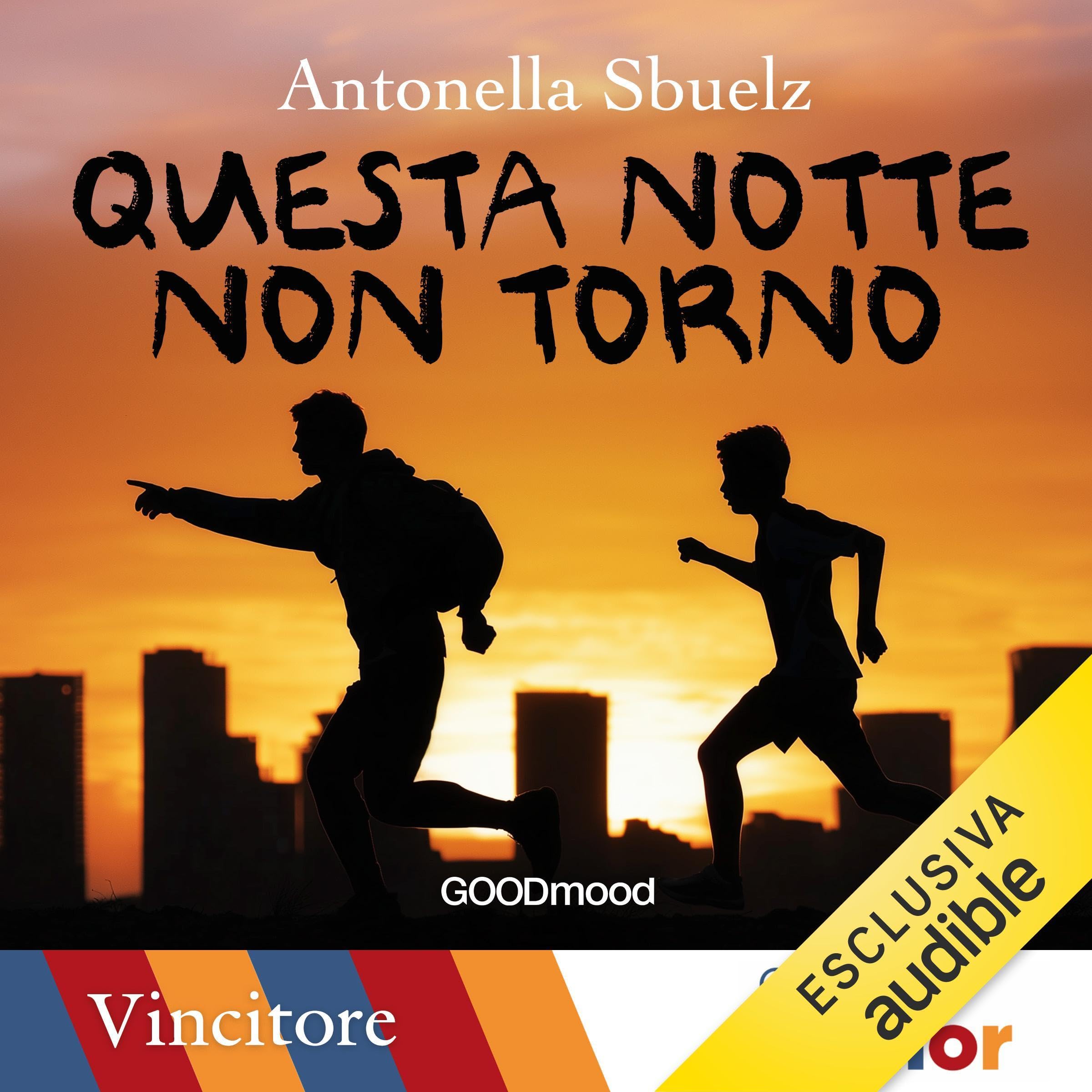 Questa notte non torno