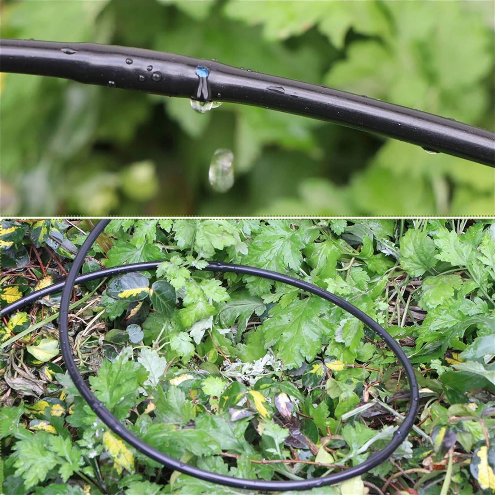 Tuyau clim Tuyau d'irrigation compte-gouttes en PVC, 4/6mm, 25cm d'espacement, for serre, légumes, plantes, goutte-à-goutte, buse d'émetteur intégrée, Tube d'arrosage(Brown,OD-6MM ID-4MM_30M (98.4FT))