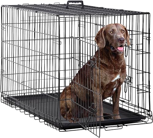 Jaulas extra grandes de 48 pulgadas para perros medianos, plegables de doble puerta, XXL, para perros grandes, para interiores y exteriores, para