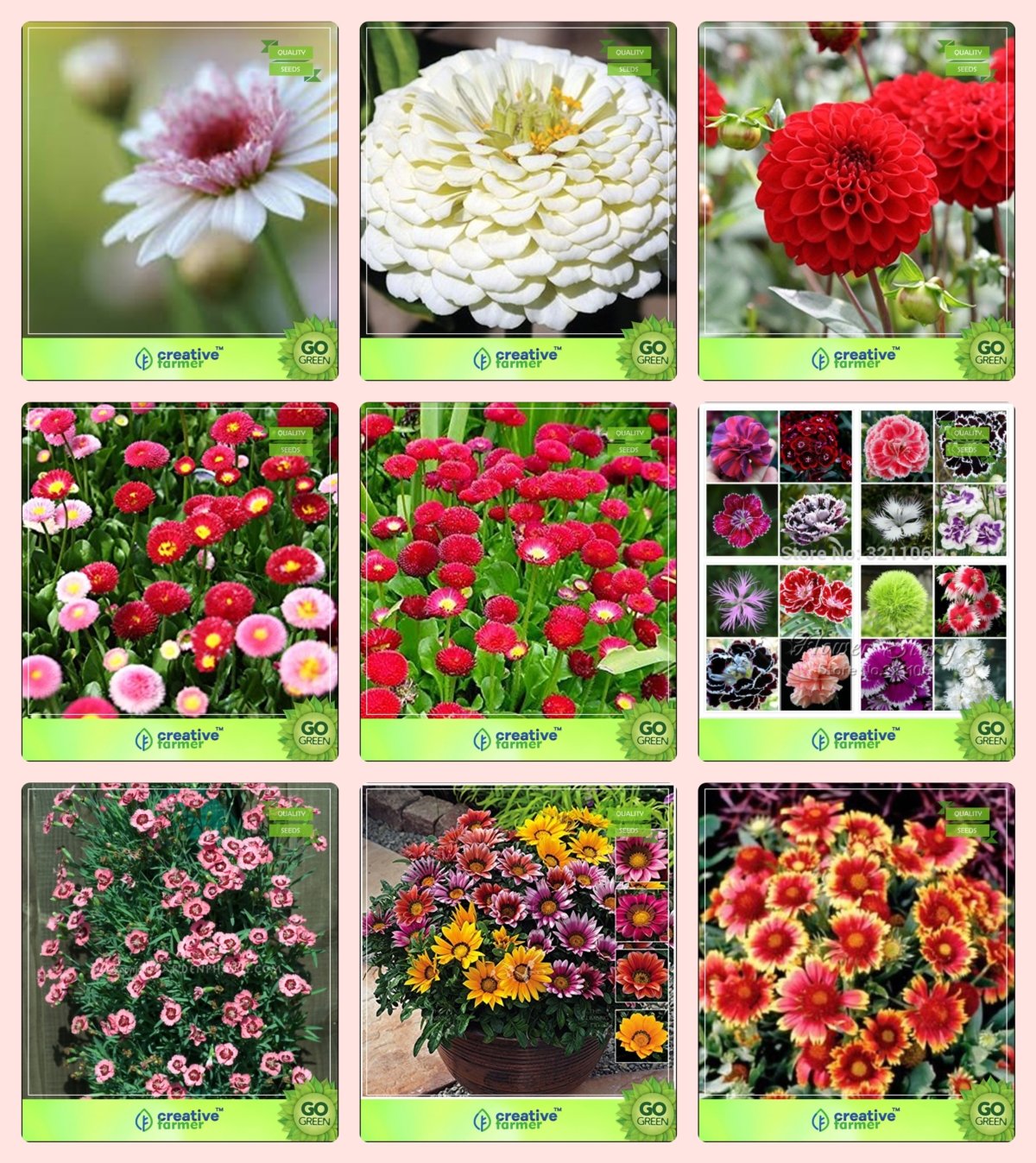 Creative Farmer Flower Seeds : Plant Seeds For All Season Combo Chrysanthemum, Dahlia -Beauty, Dahlia -Pompon, Daisy-Double, Daisy- Red, Dianthus-Baby Doll, Dianthus-Scarlet Red and Others -2 Packs (B076M2RPH7) Amazon Price History, Amazon Price Tracker