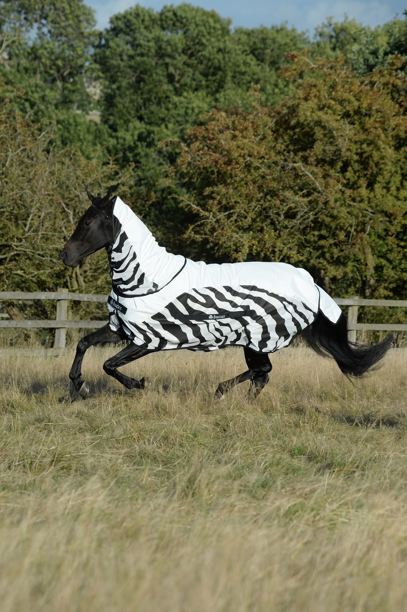 Bucas Buzz-Off Rain Zebra & Neck, kolor: zebra, rozmiar: 145 cm / 6'6