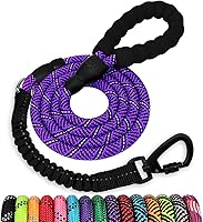 Vista 45 de Correa larga para perro de 10 pies: correas de cuerda resistentes para entrenamiento de perros con gancho giratorio bloqueable, hilos reflectantes