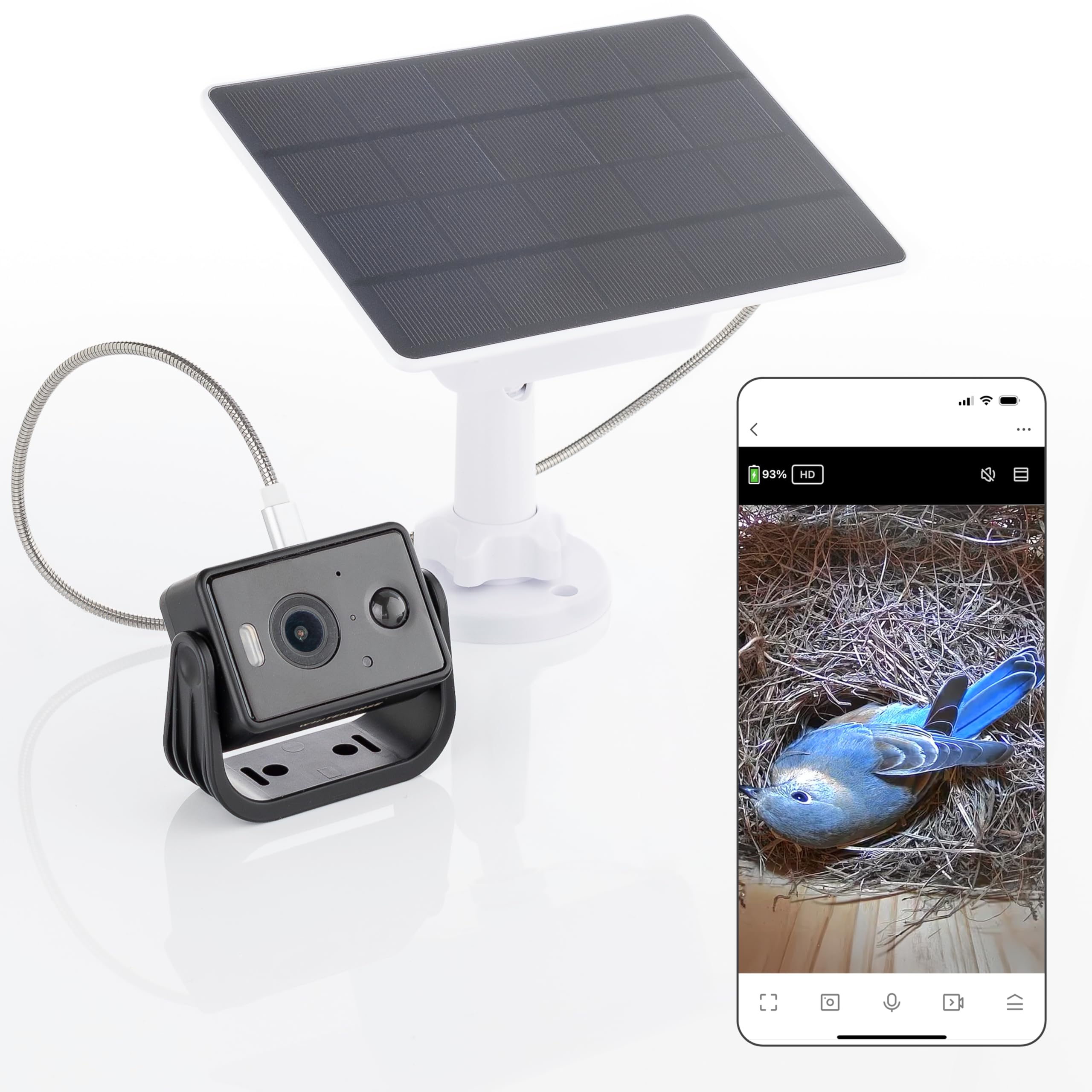 WHITEHORSE Caméra pour nichoirs à oiseaux - Sans fil et alimentée par énergie solaire -Regardez et enregistrez depuis votre téléphone (application gratuite) - Soyez averti lorsqu'un oiseau est détecté