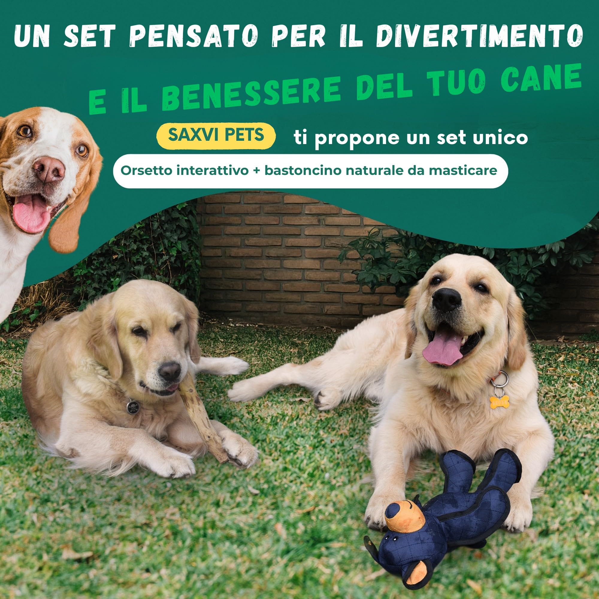 Pets Pack Robustes Spielzeug und Beißring aus Holz, für mittelgroße und große Hunde, sicheres Spielen und natürliches Kauen, inklusive Ratgeber, robustes Hundespielzeug