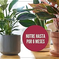 Vista 9 de Miracle-Gro Mezcla para Macetas de Plantas de Interior: Suelo Fertilizado con Perlita para Jardinería de Interiores, Diseñado para ser Menos