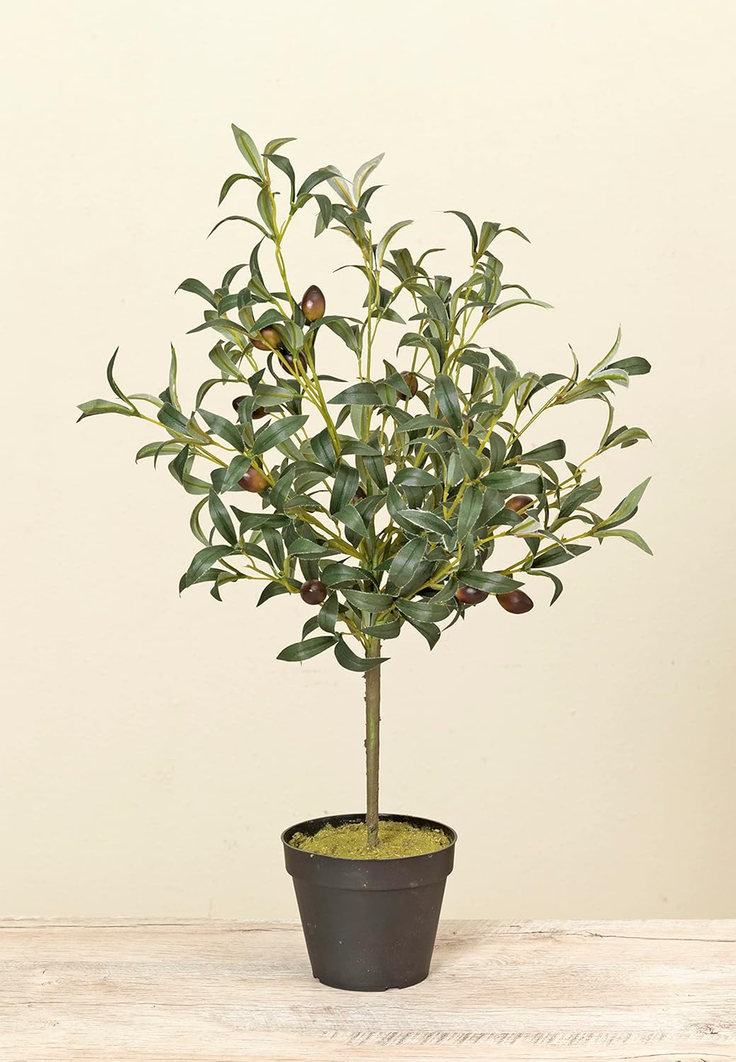 22 Inch High Artificial Olive Tree in Pot, Faux Olive Tabletop Tree with Olive Fruit