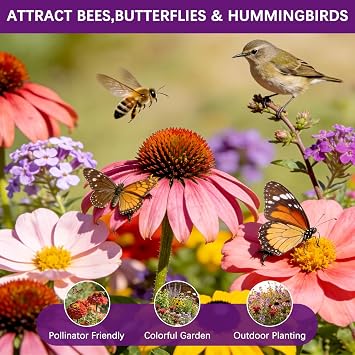 Wildflower Seeds Mix 1/2 lb, 19830+ Seeds Perennial& Annual 36 Varieties Flower Seeds for Planting,Non-GMO Heirloom Bulk Wild Flower Seeds for Indoor & Outdoors, FlowerSeed Packets for Home Garden