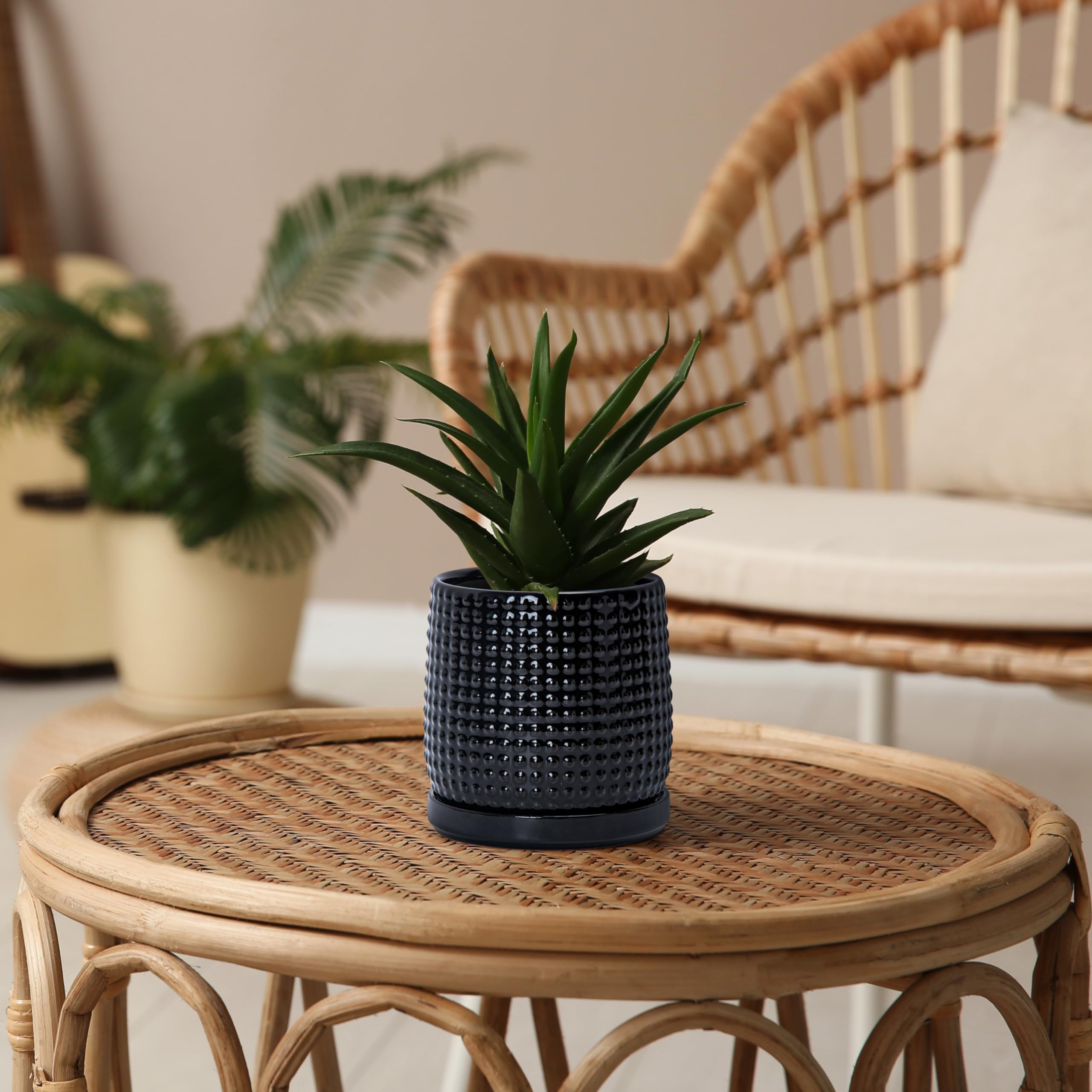 Amazon.com : D'vine Dev Beaded Ceramic Pot with Saucer, 4 in