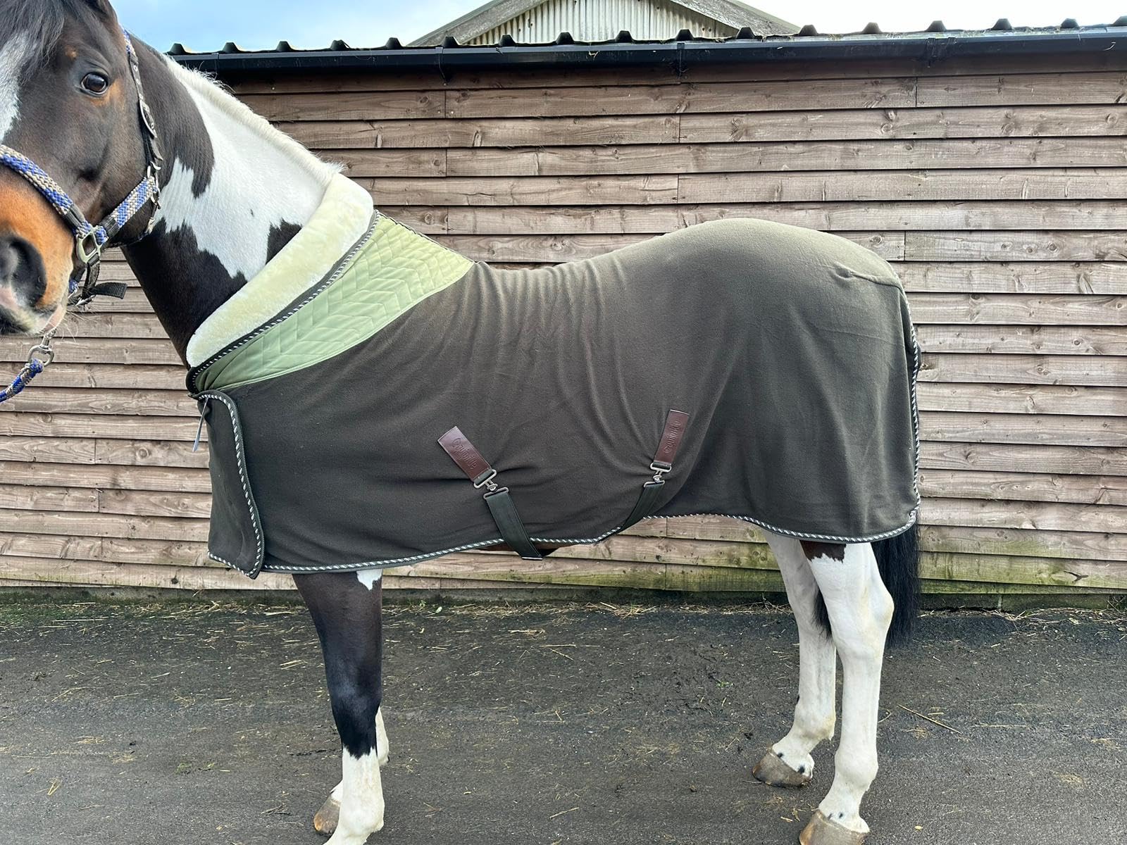 Horse Show Fleece Rug with Faux Fur Ideal as Show Rug in 3 Colour 5'3" to 7'0" Hunter Green (7'0")