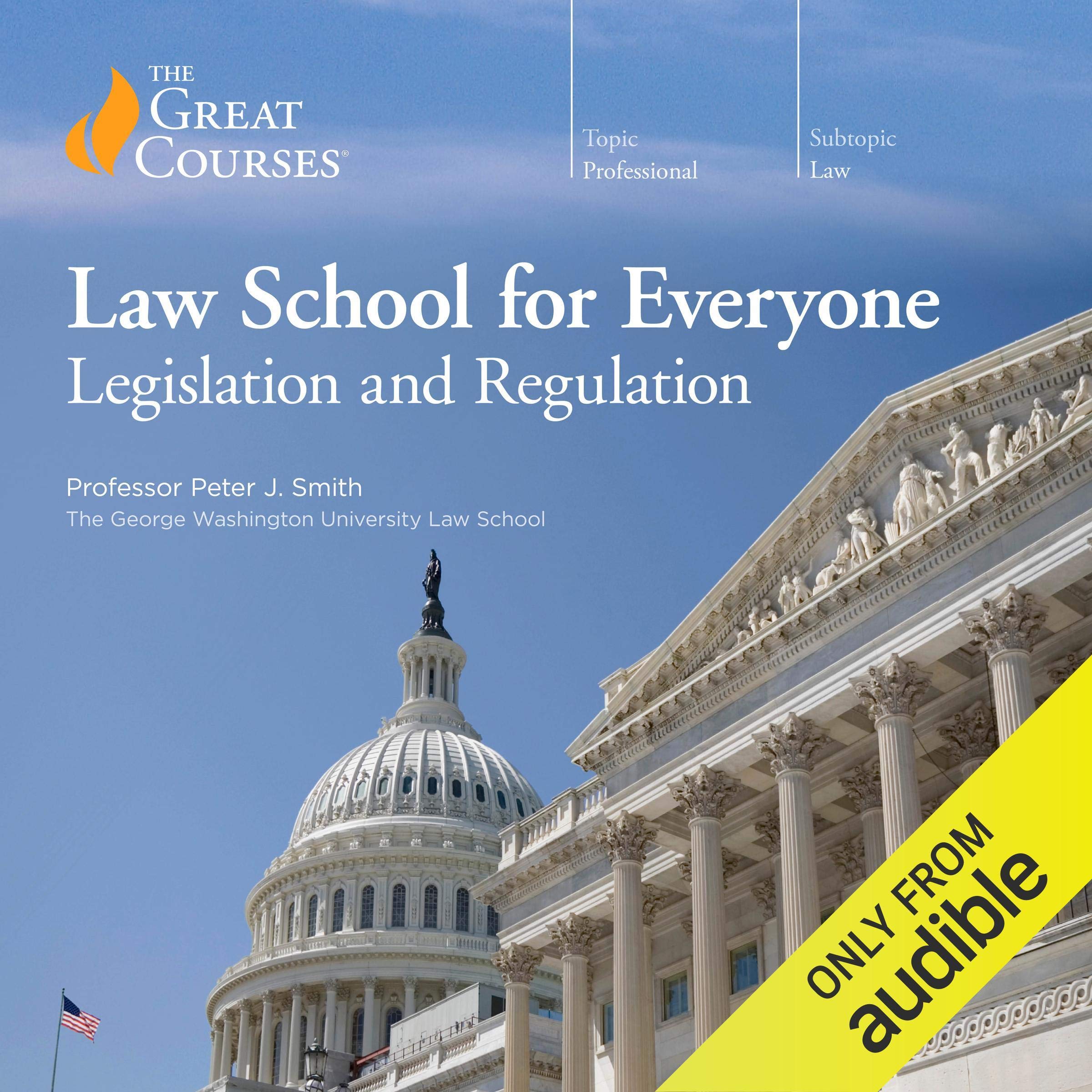 Law School for Everyone: Legislation and Regulation