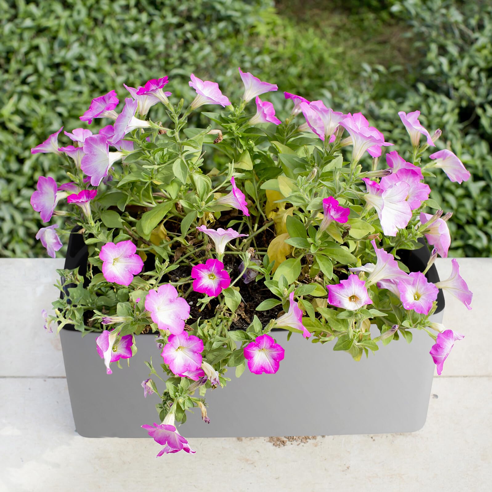 VICASKY Vasi Automatici per Piante Corda Regolabile, Set da 2 Pezzi, Plastica Resistente, per Giardino Domestico e Ufficio, Irrigazione Automatica per Fiori