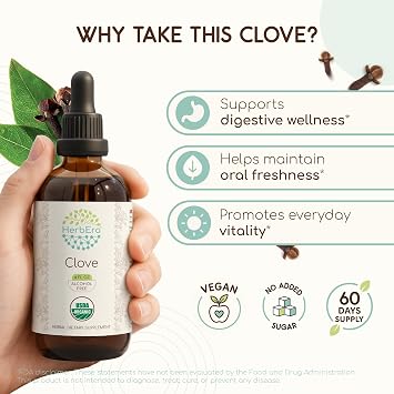HerbEra Clove USDA Organic Tincture | Alcohol-Free Extract, Herbal Drops, Immune System Health | Certified Organic Clove (Syzygium Aromaticum) Dried Flower Buds (4 fl oz)