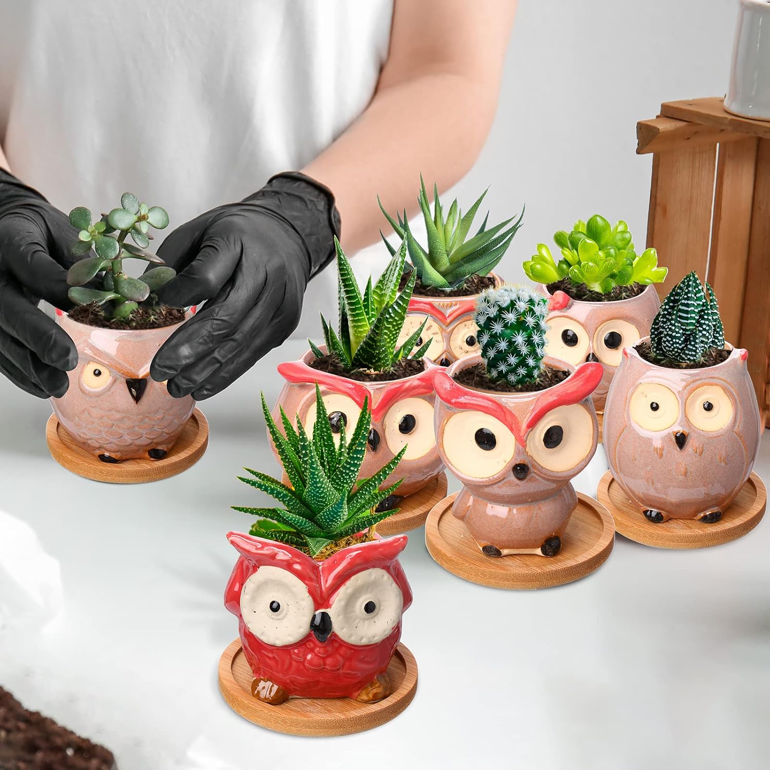 Cindeer 18 Pcs 2.5 Inch Owl Ceramic Succulent Planter Pots Mini Small Ceramic Pots with Drainage Hole and Bamboo Tray for Succulents Glaze Cactus for Home Garden Office Desk Decoration Gift Ideas